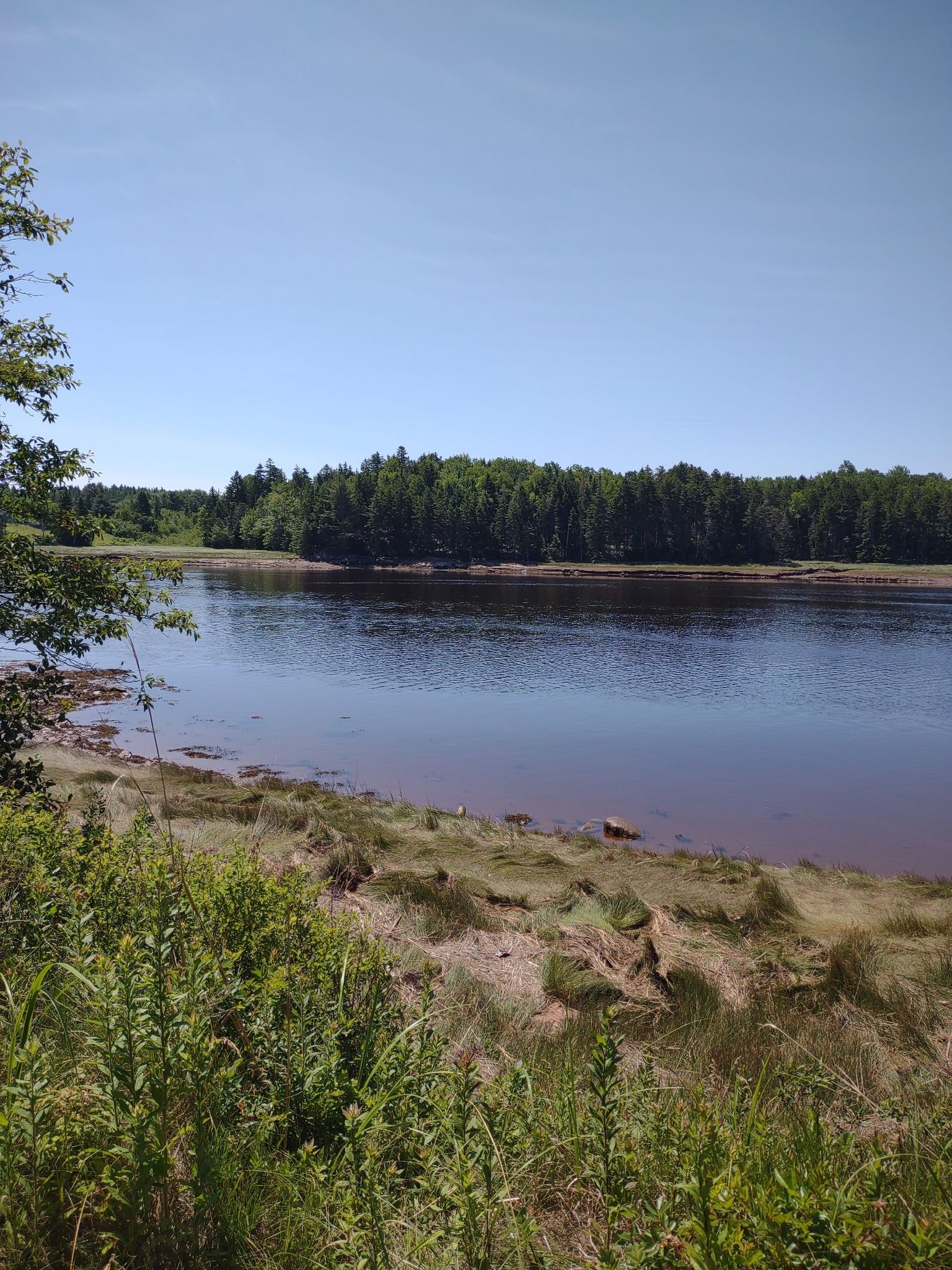 Sunny day over a wide river with green banks and distant forest. - Down East Sunrise Trail