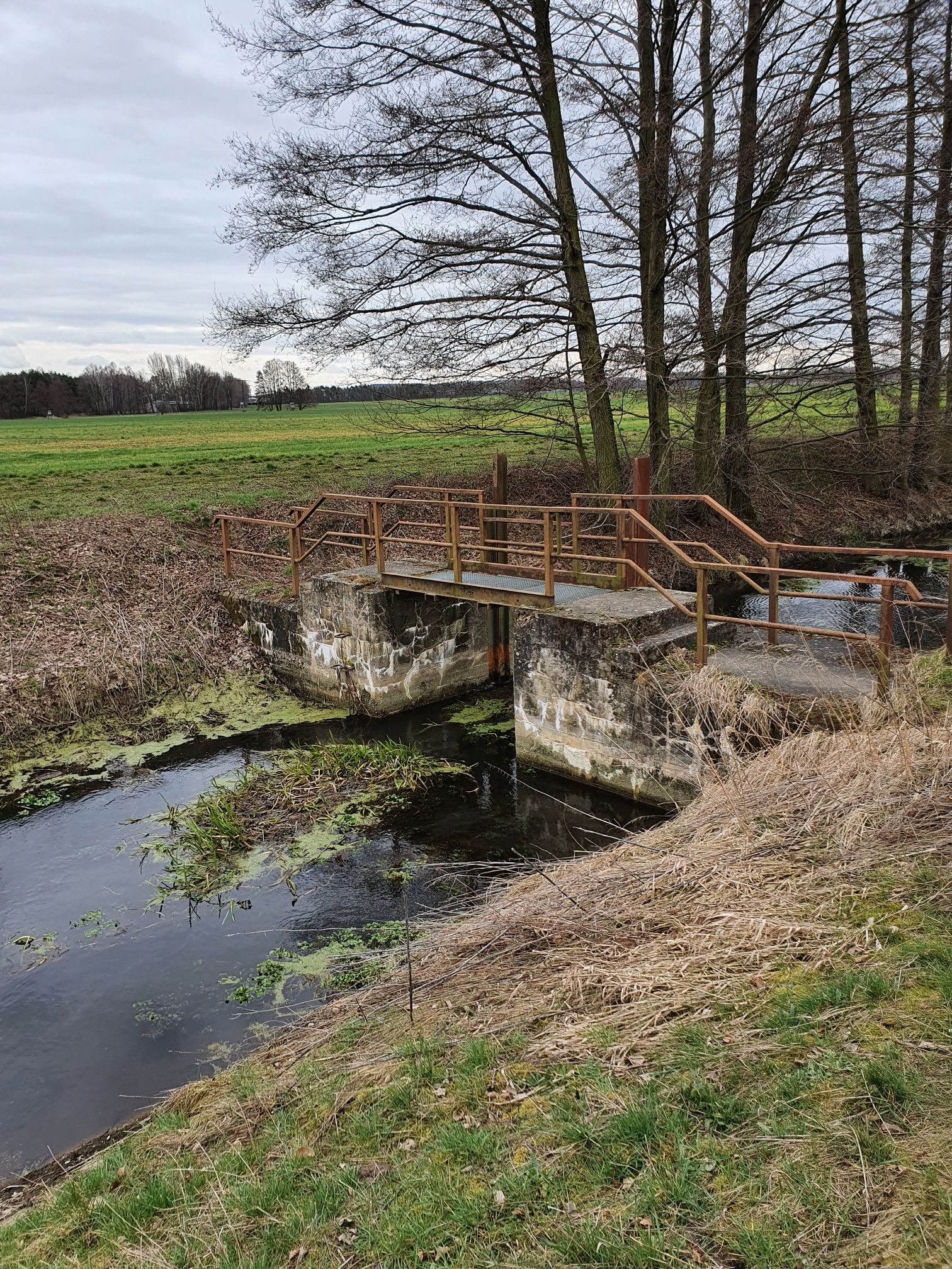 Weiße Brücke am Schwarzach 