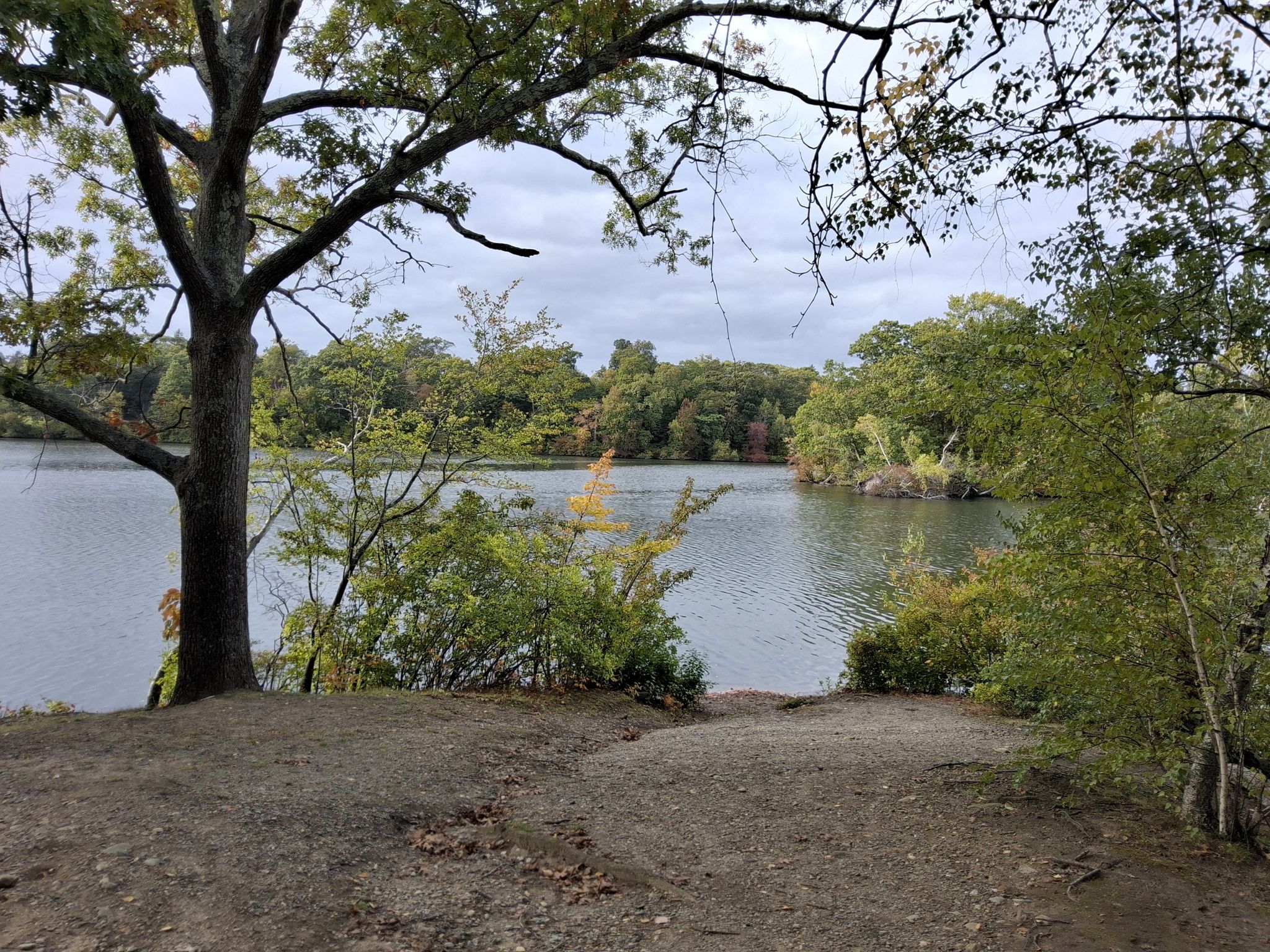 A dirt clearing overlooks a calm lake surrounded by trees on an overcast day. - Roger Williams Park – Elm Lake loop from Johnson and Wales University Providence Harborside Campus