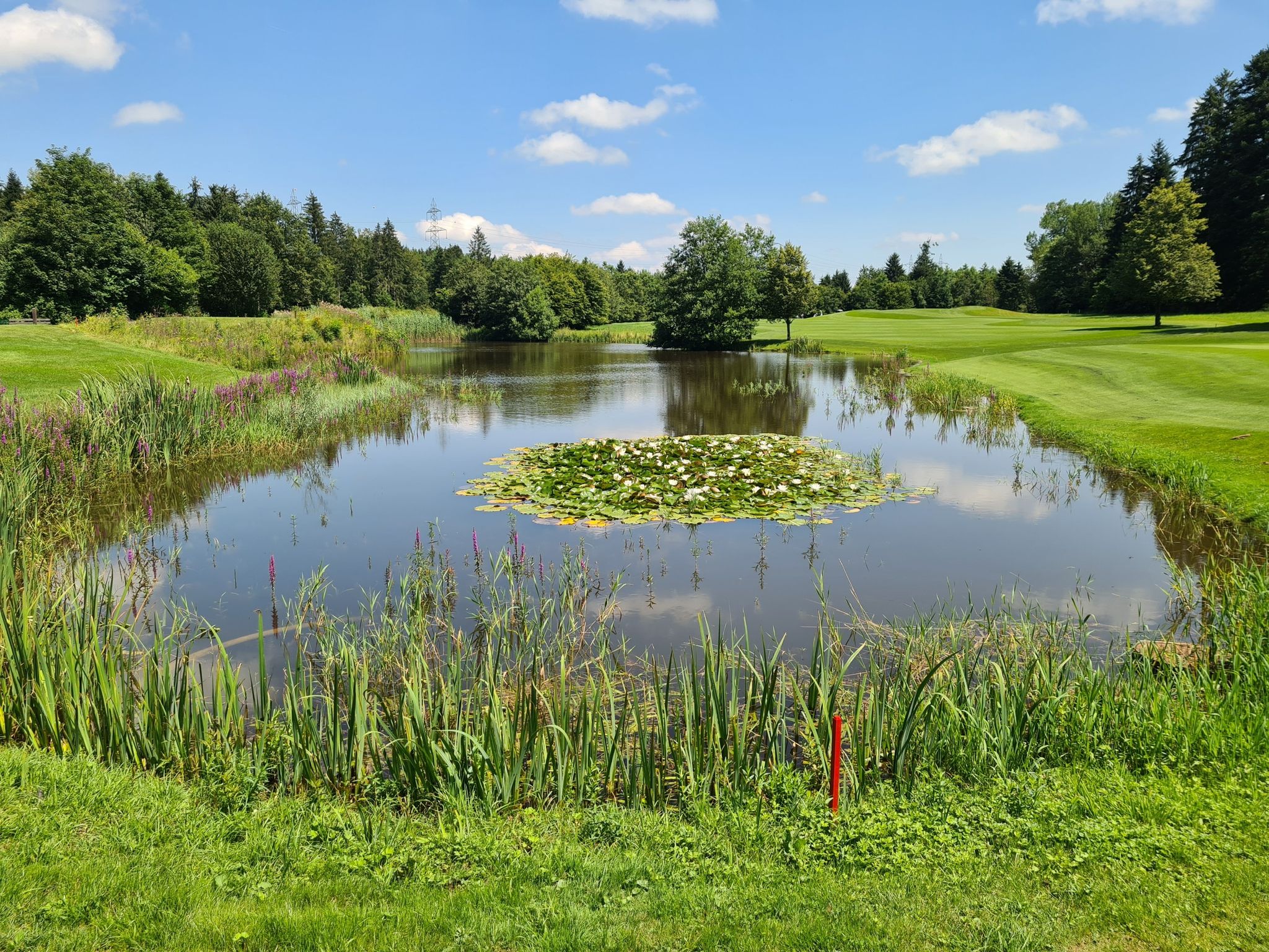 Golfplatz Sempach