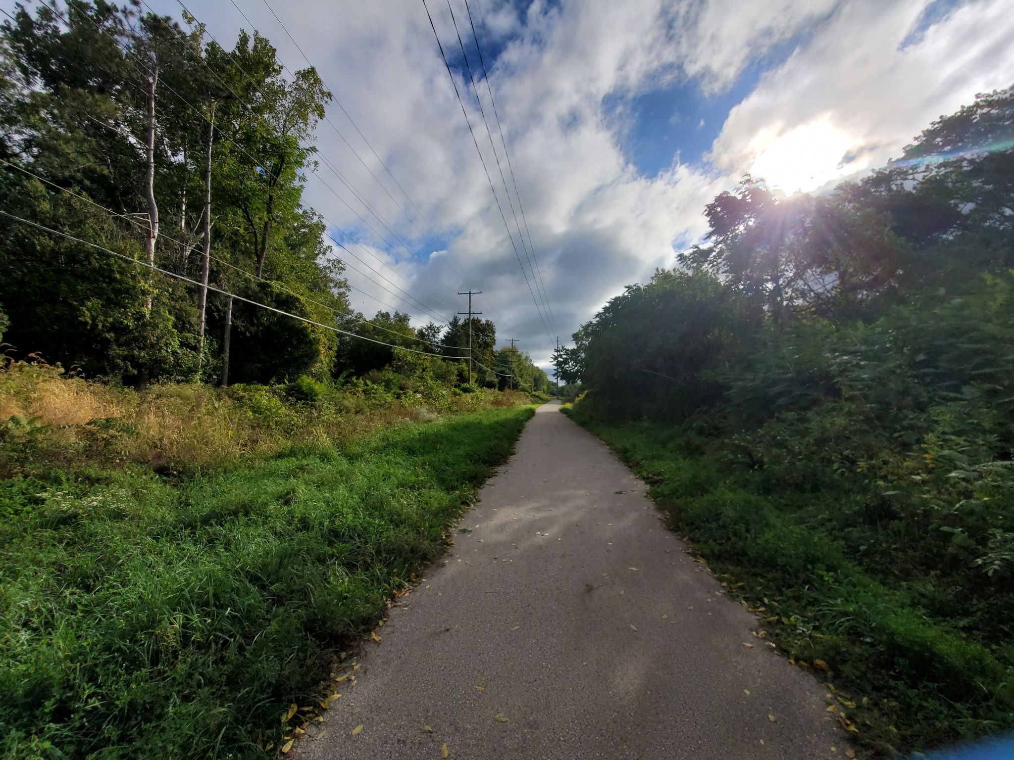 Paved trail through green trees under a bright, sunlit, cloudy sky. - Ice Age Trail - Delafield Segment