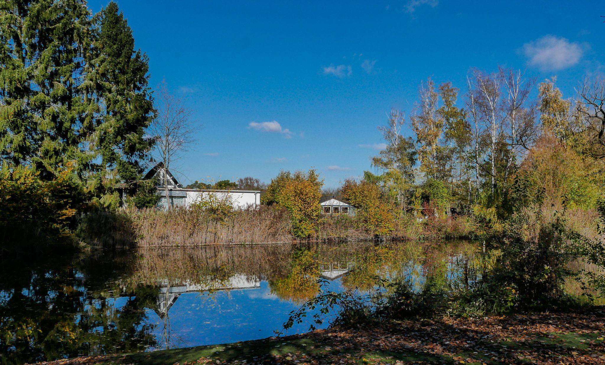 kleiner See vor dem Heusenstammer Schloß