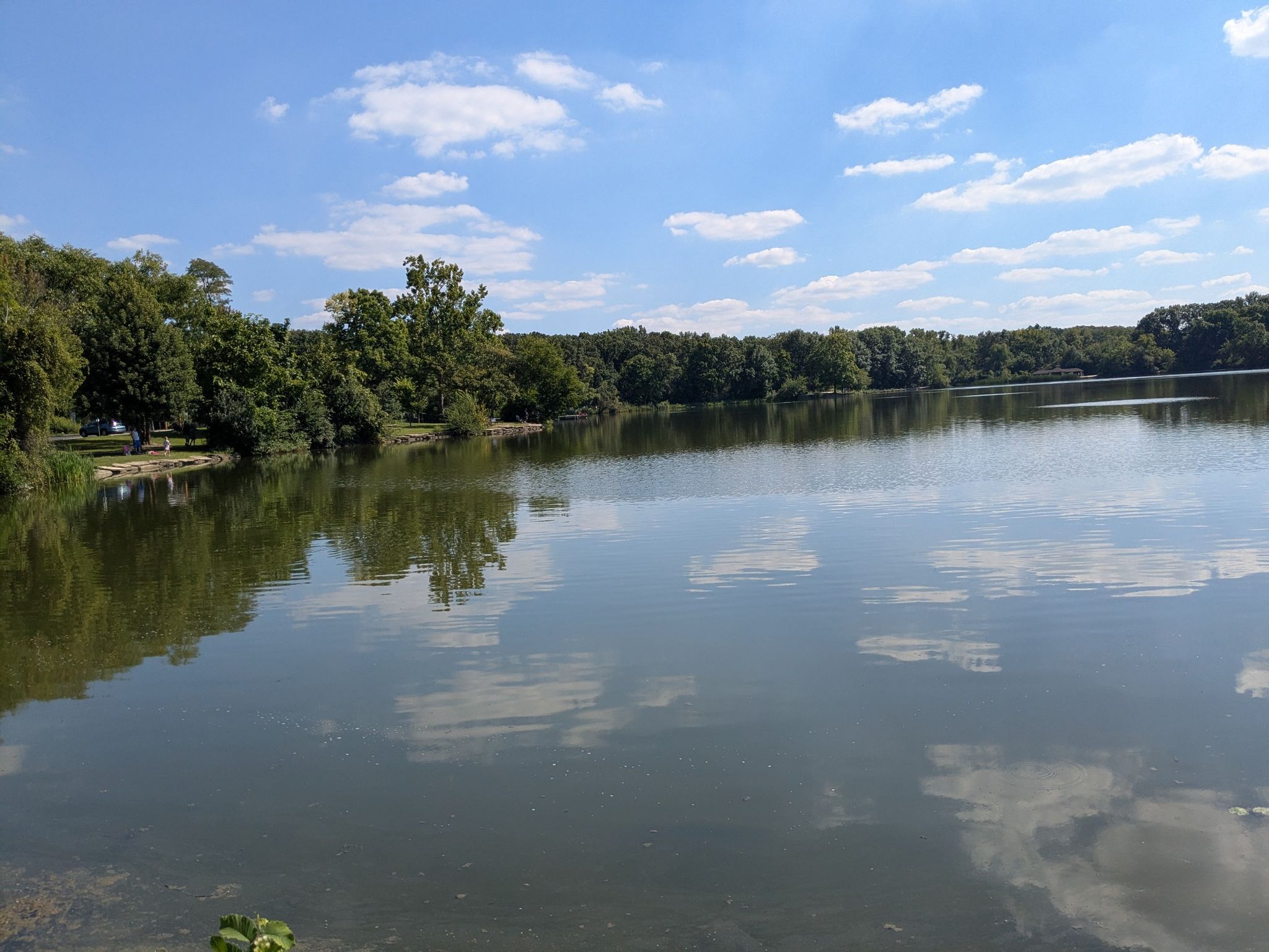 A calm lake reflecting blue sky and white clouds, surrounded by green trees. - Great Western Trail – Timber Ridge Trail loop from Herrick Lake Forest Preserve