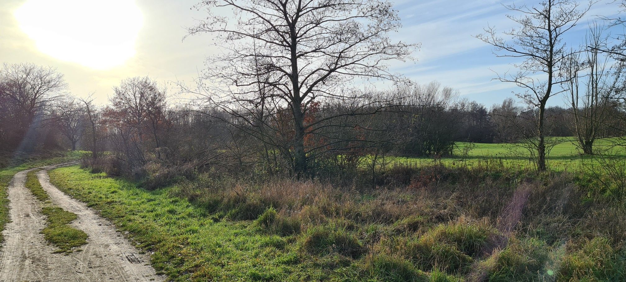am Golfplatz Moyland