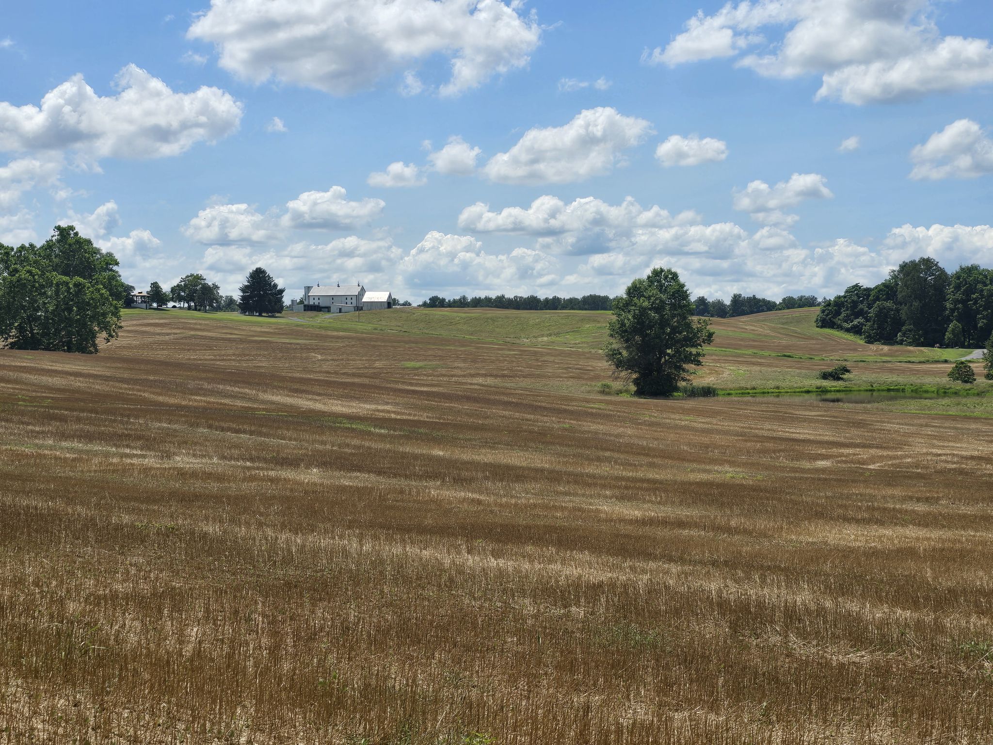 Rolling harvested fields, distant house, scattered trees, cloudy sky. - Lock 25 Large Maple – K2 Cafe loop from Seneca