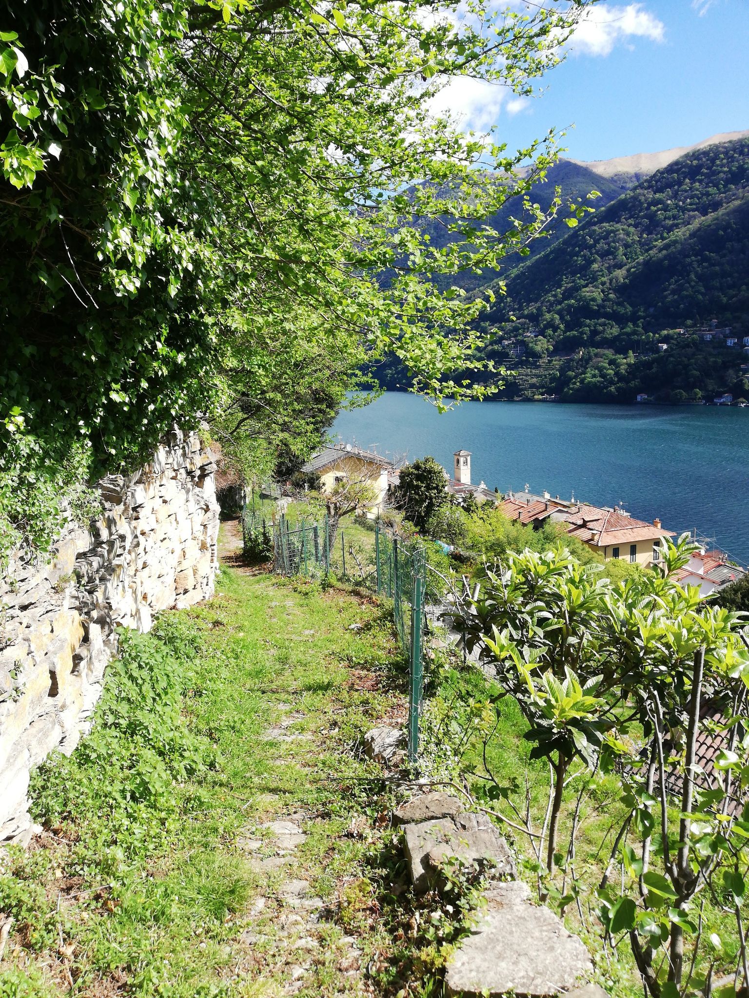 Torriggia