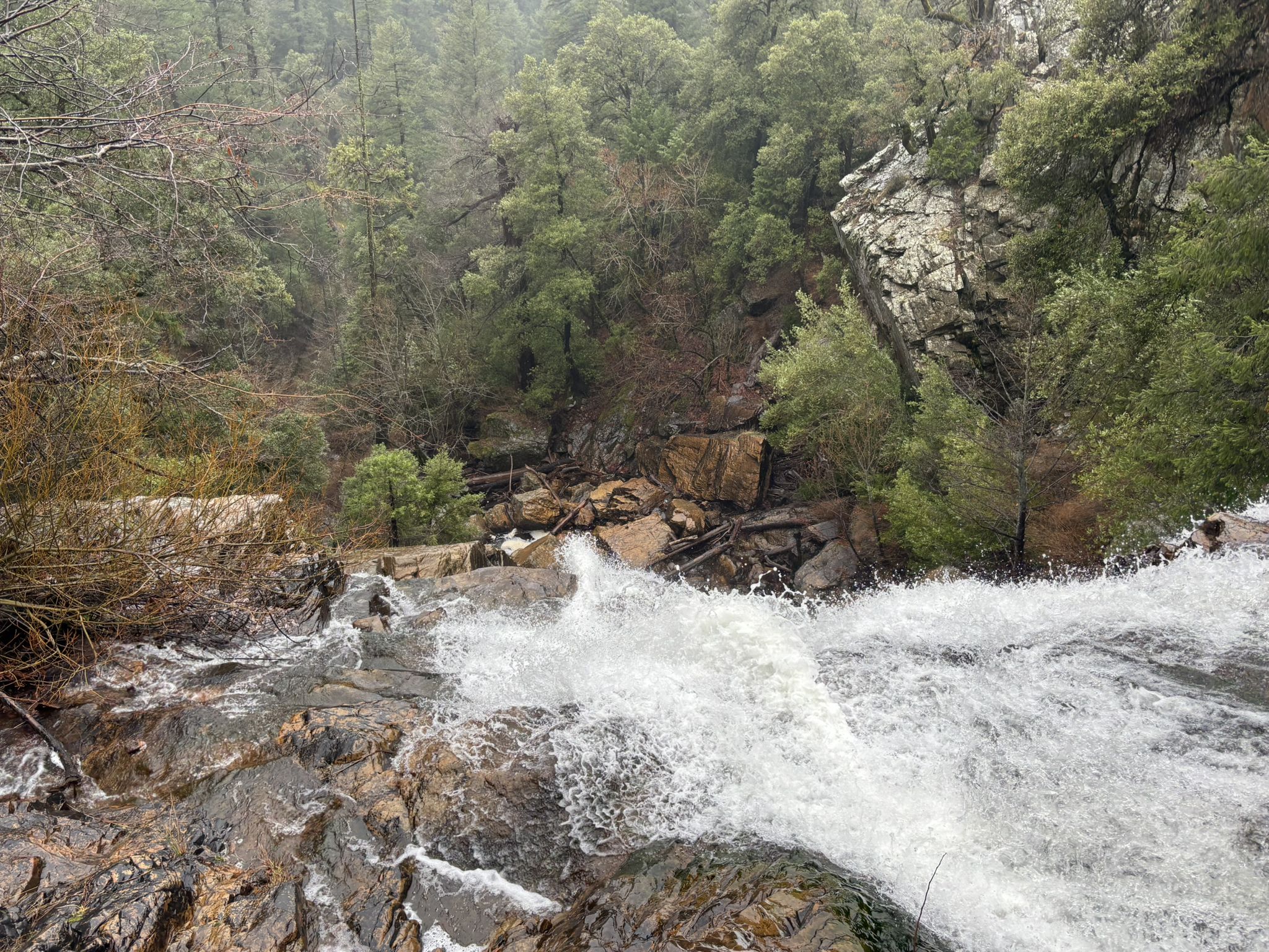 Powerful waterfall cascading over dark wet rocks into a forested canyon on an overcast day. - Cougar Rock Loop Trail