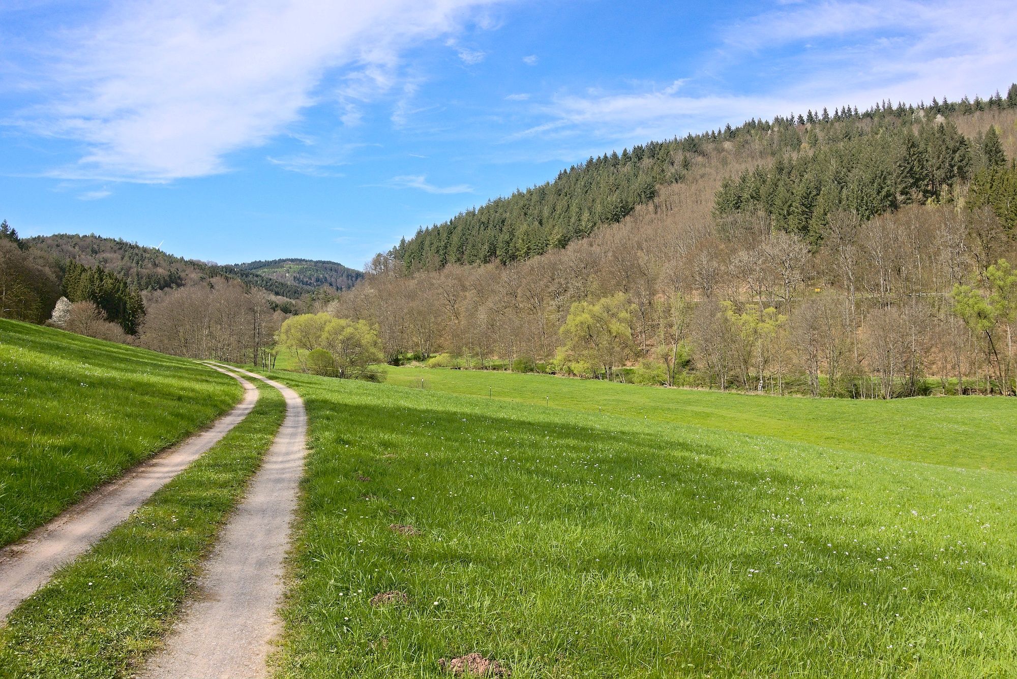 Blick zurück