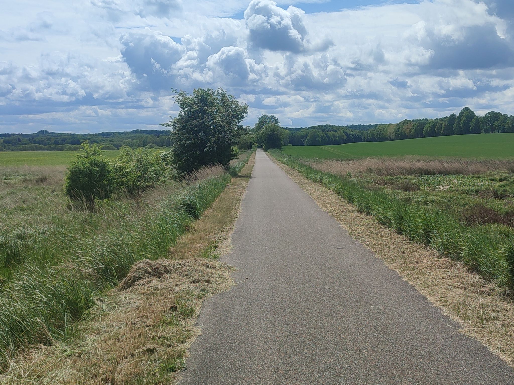 Bahntrassenradweg nach Ryman