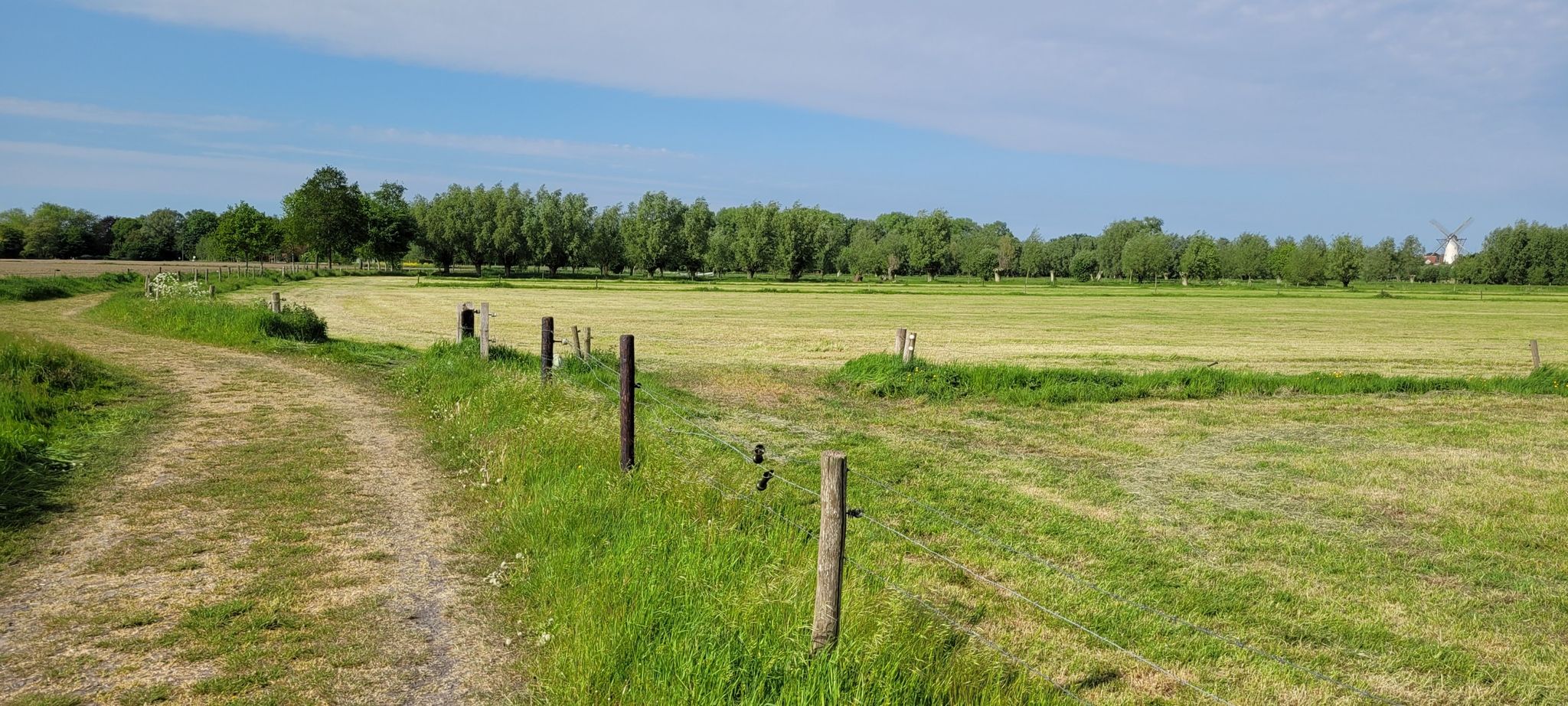 Zicht op de molen vanaf het Oude Kale Pad.
