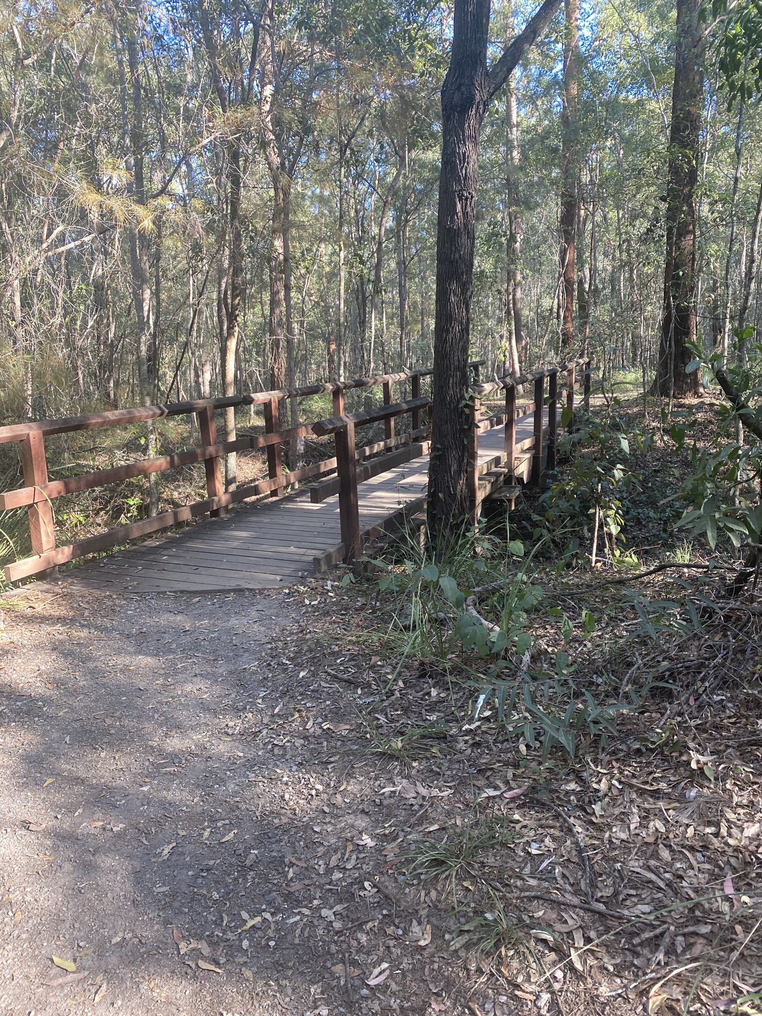 2 bridge