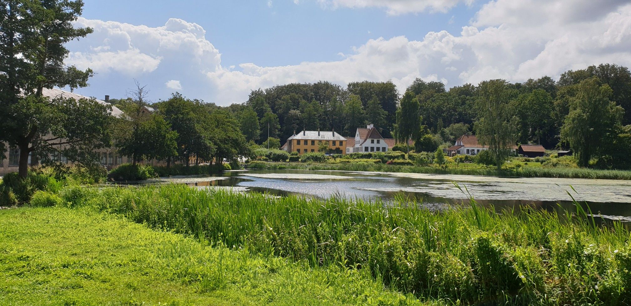 Raadvad