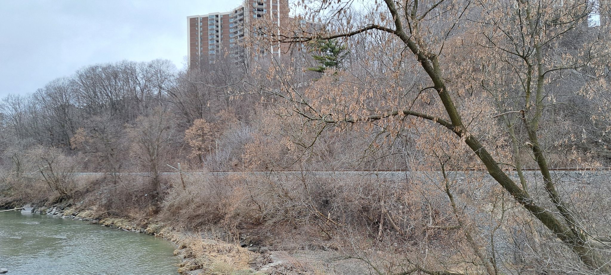 The "standard deviation" is making us walk right along the train tracks