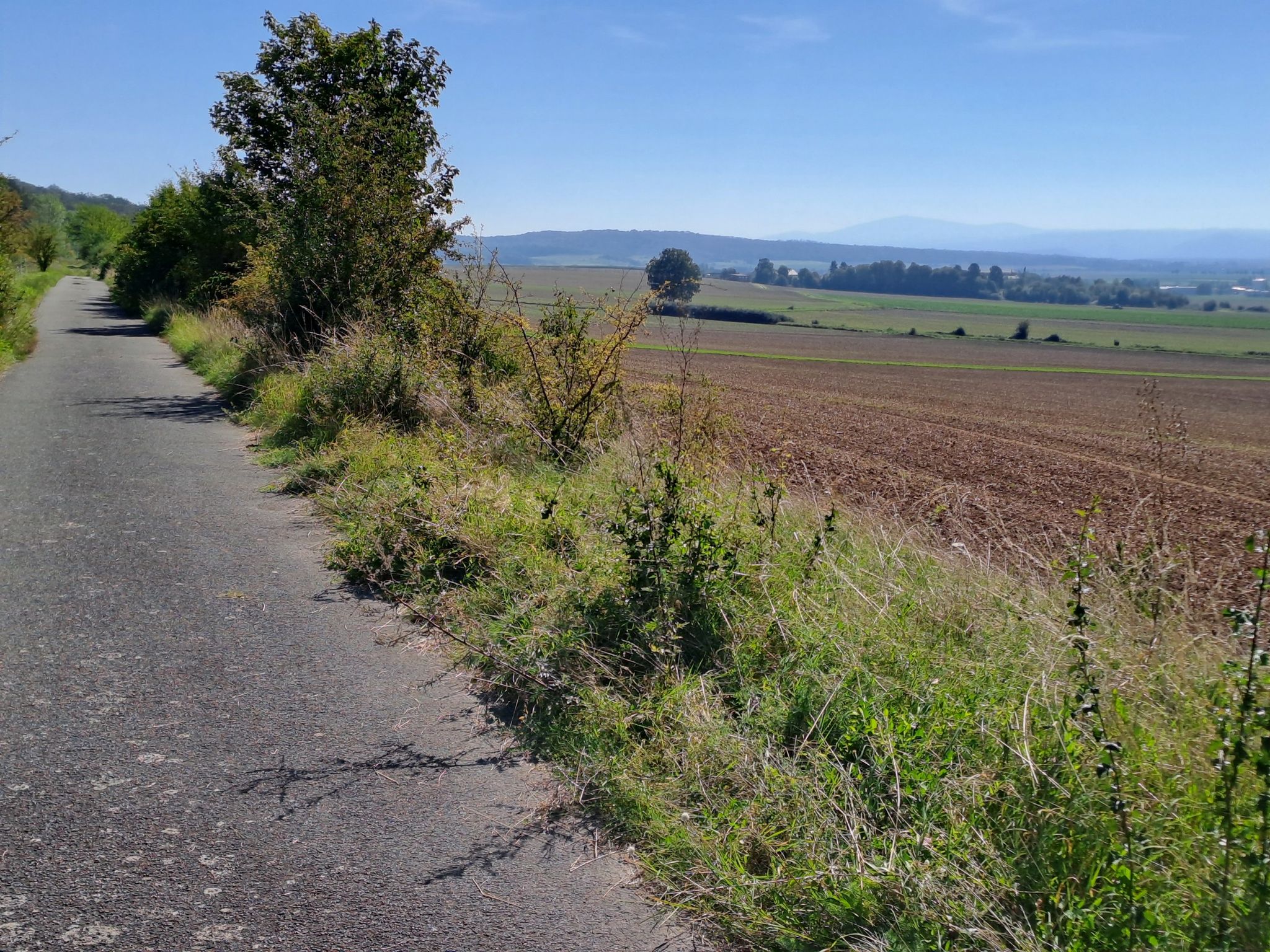Blick in den Harz