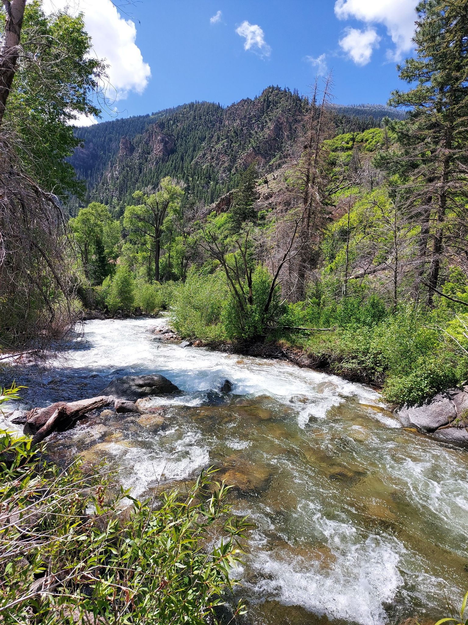 Wide river flowing through a lush green forest under a bright sky. - Grizzly Creek Trail