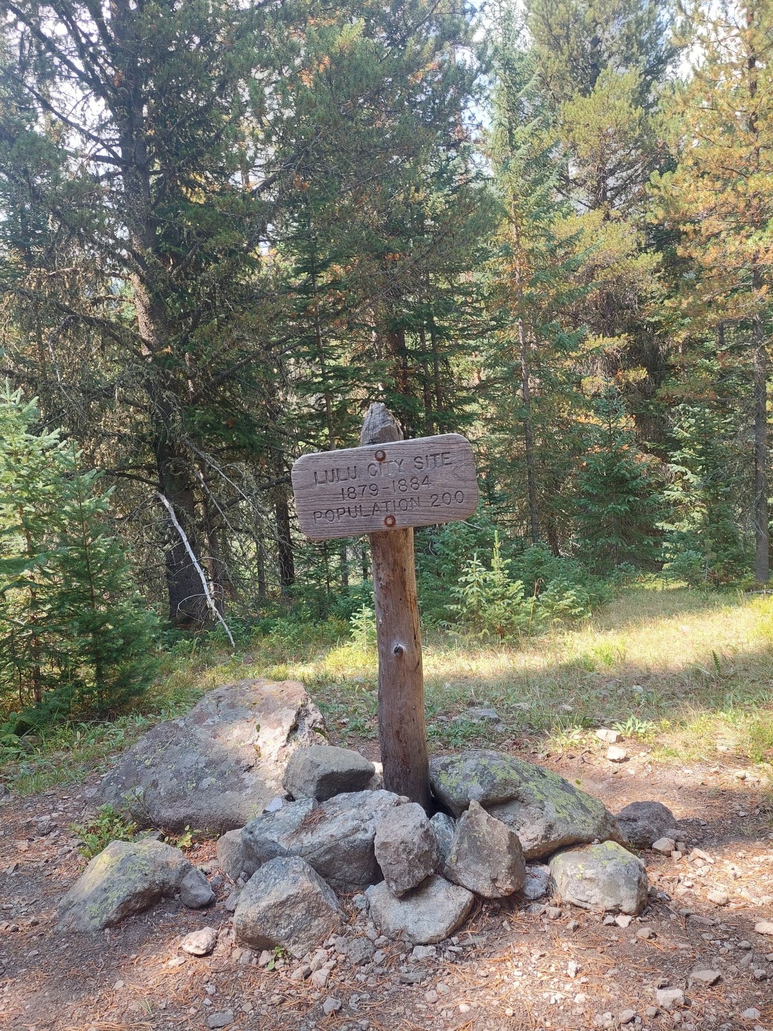 A wooden sign on a post surrounded by rocks in a sunlit forest. - Lulu City via Grand Ditch and Little Yellowstone Trails run