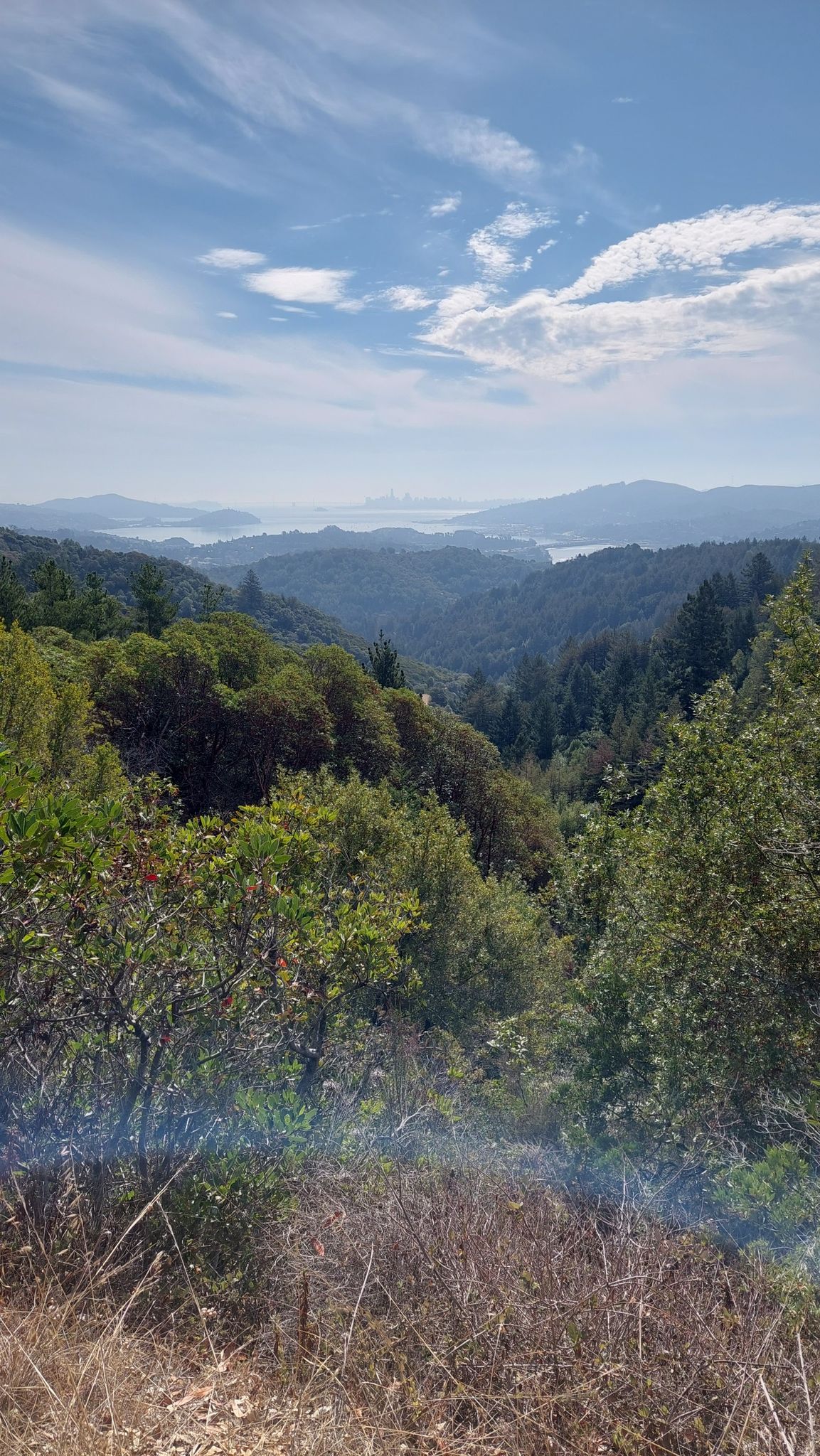 Expansive view of forested valleys and distant water under a partly cloudy sky. - Blithdale Loop