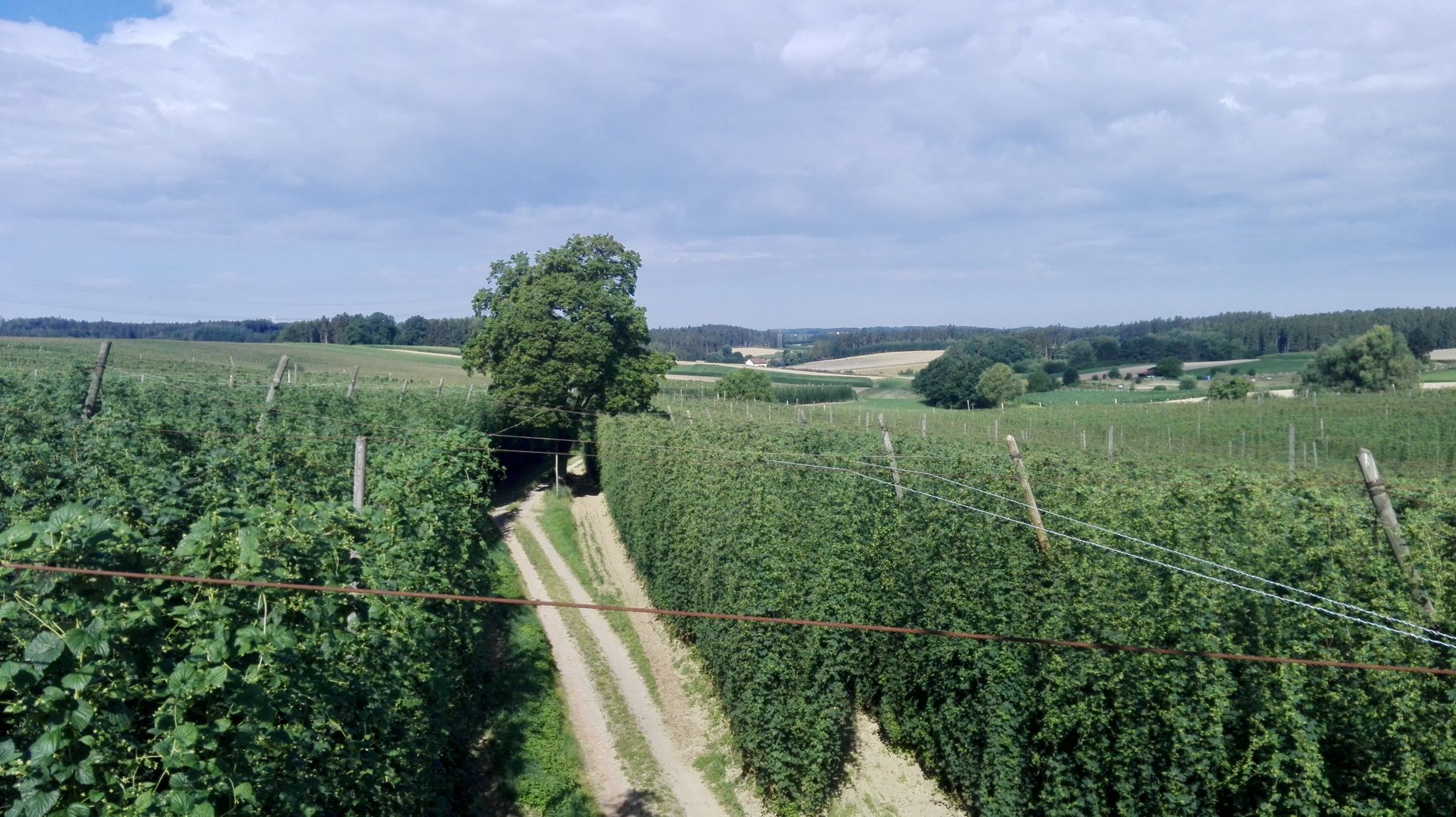 damit das Bier nicht ausgeht