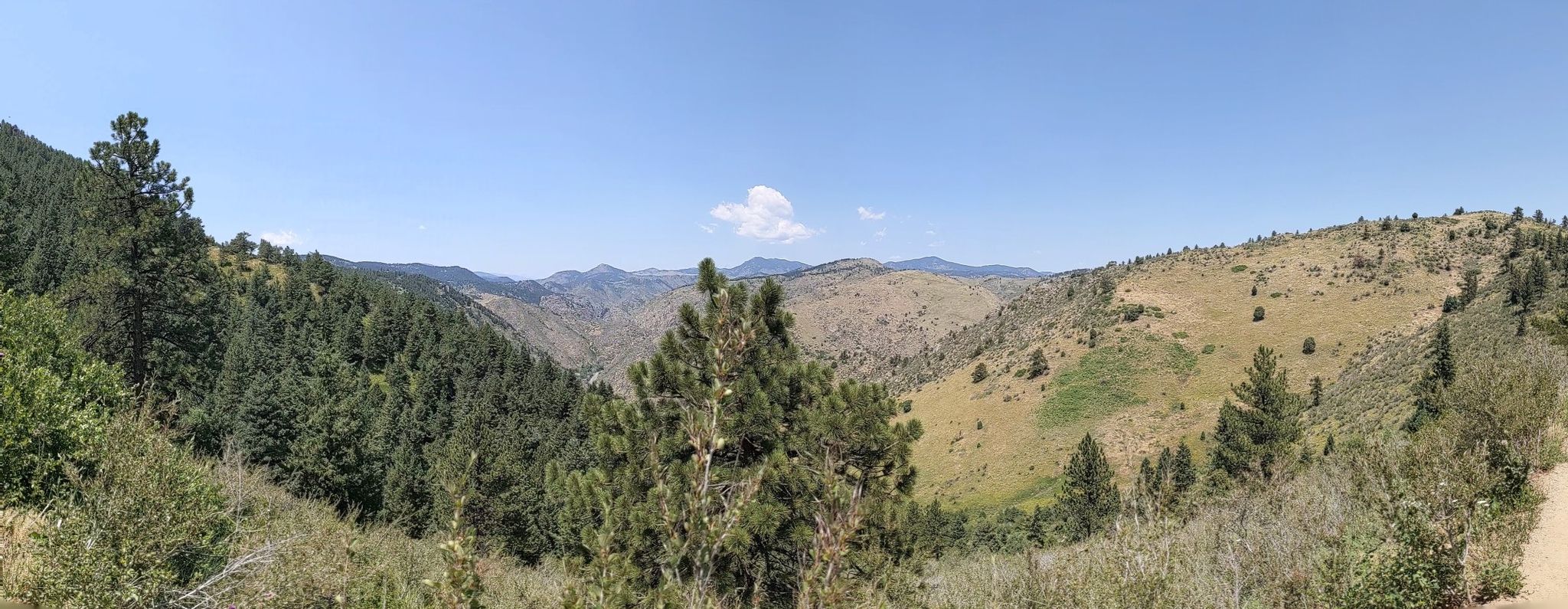 Panoramic view of sunlit forested hills and distant mountains under a clear blue sky. - Beaver Brook and Gudy Gaskill Trail Loop