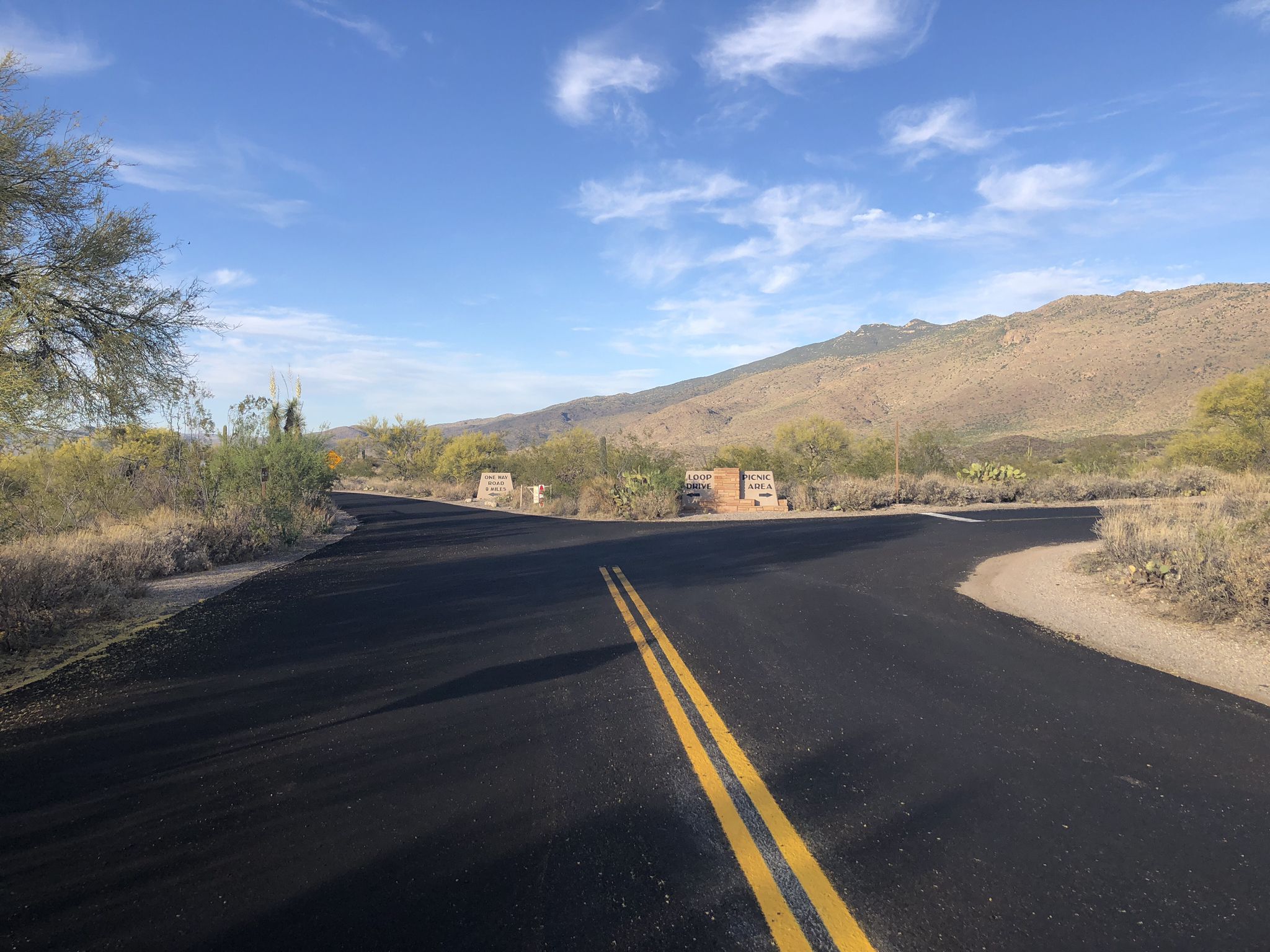 A fork in a paved road through a desert landscape with mountains. - Old Fort Lowell Hospital – Future Generations Overlook loop from 