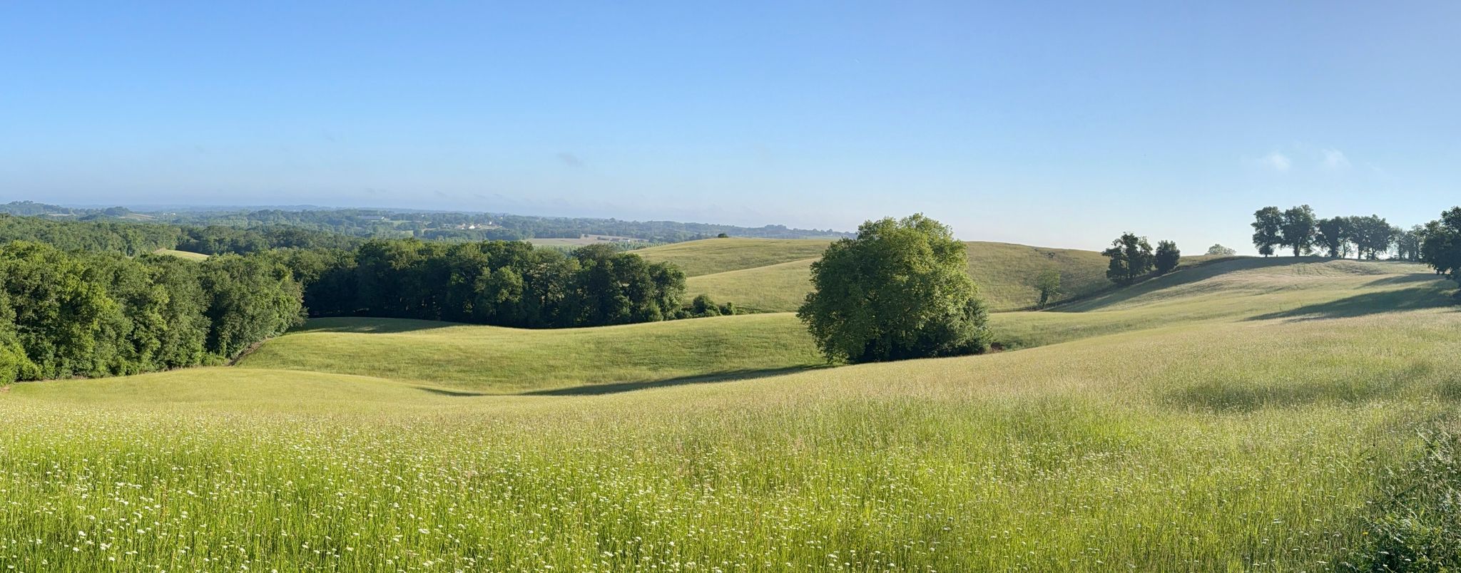 Les superbes coteaux de Chalosse (Landes)