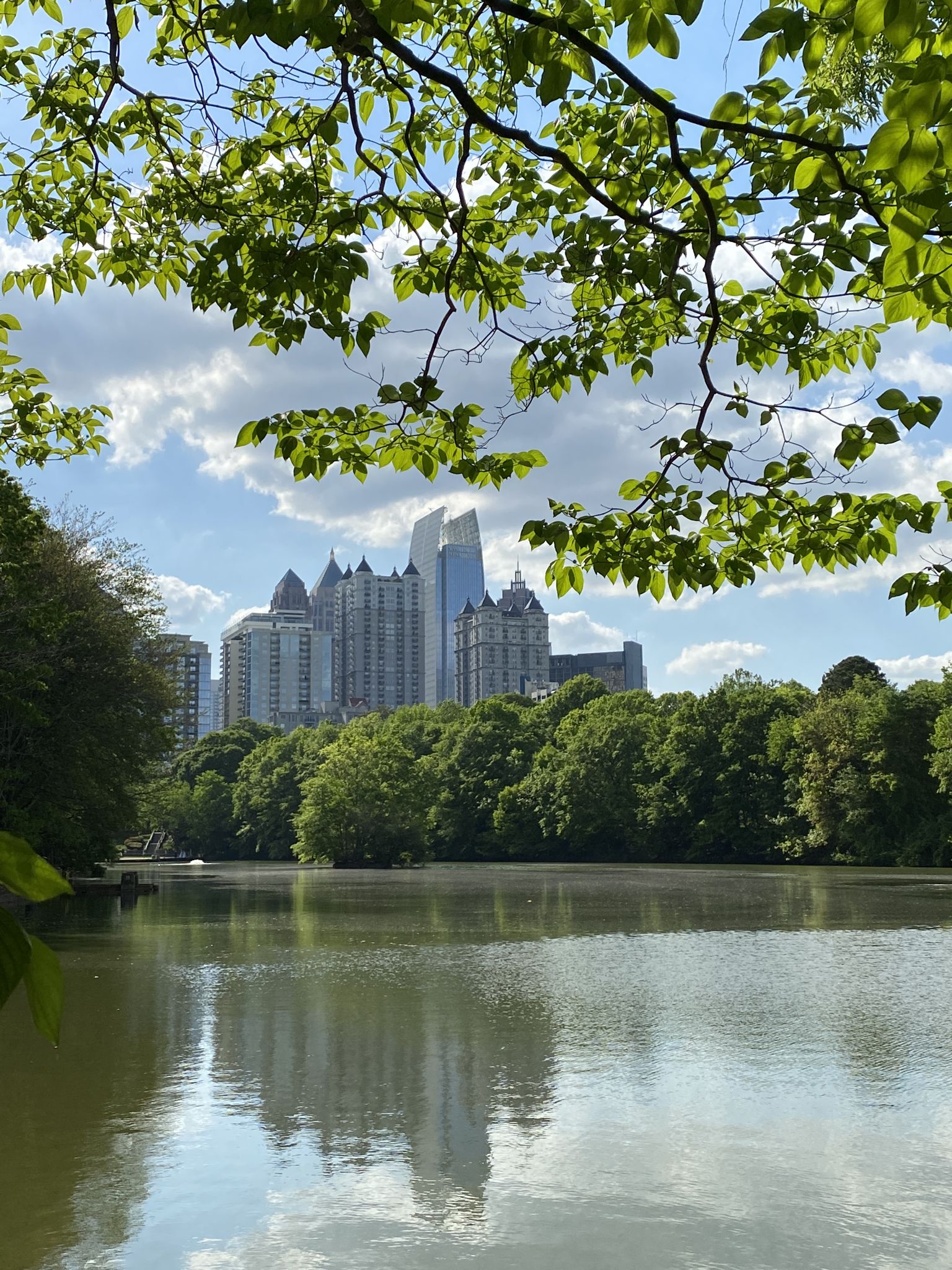 City skyline visible over a calm lake, framed by green leaves. - Atlanta Beltline and Decatur Trails Loop