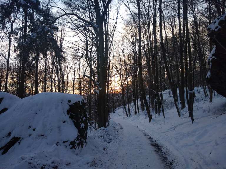 Sieben Teiche Bismarckturm Runde Wanderung Komoot