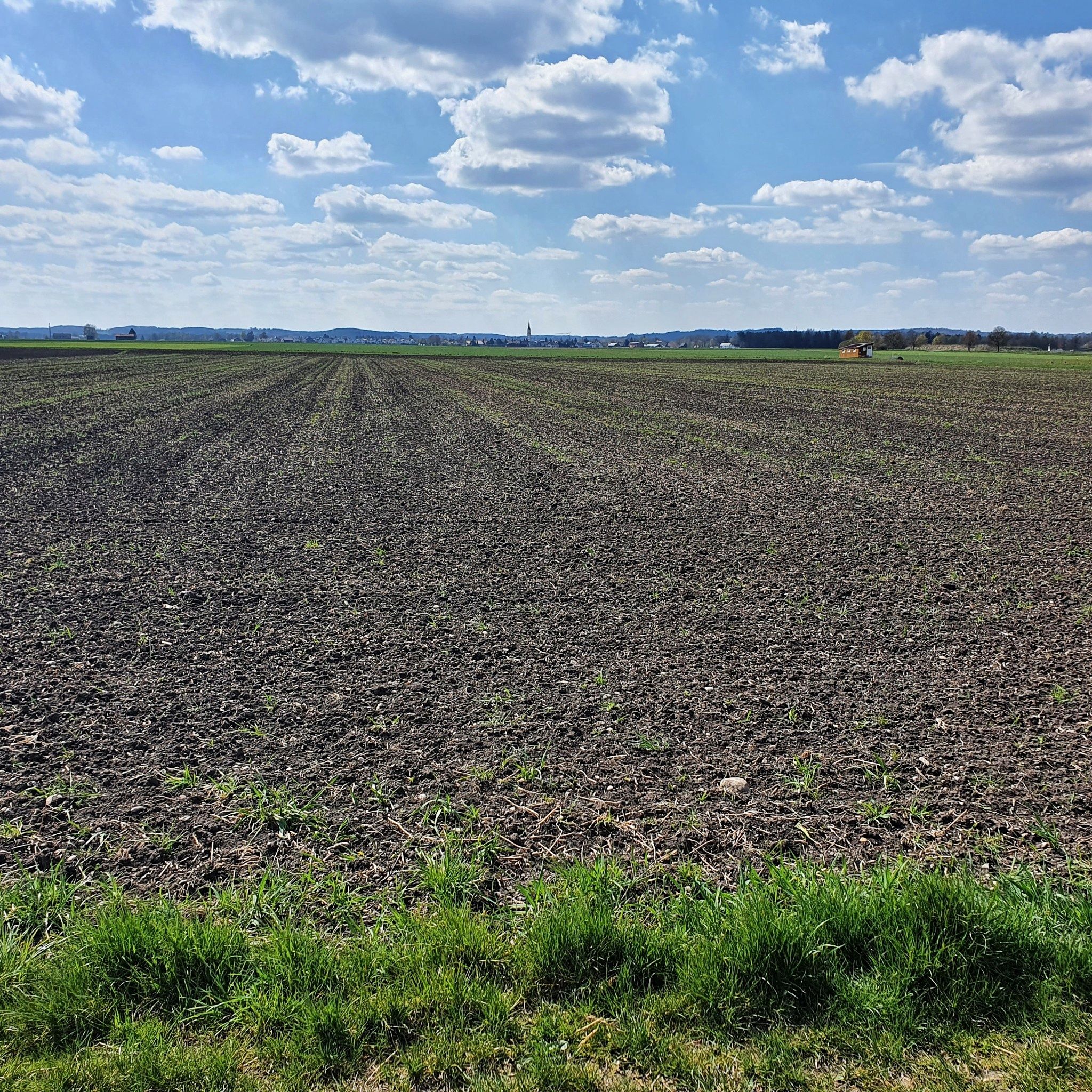 Weites- oder Plattes- Land