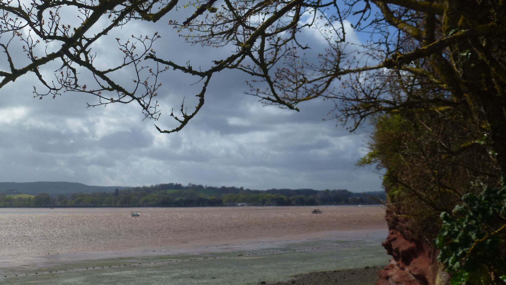 River Exe estuary