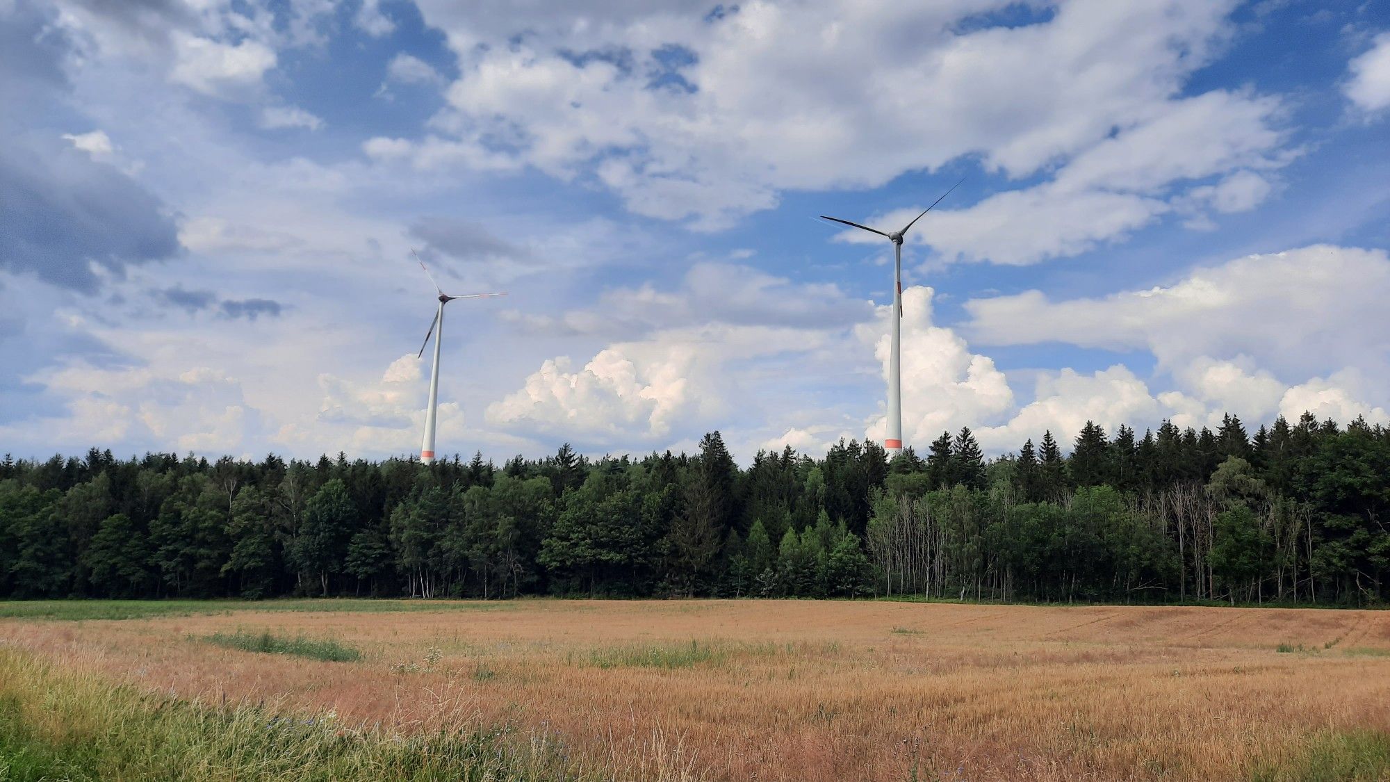 Bürgerwindkraftanlagen Edelsfeld