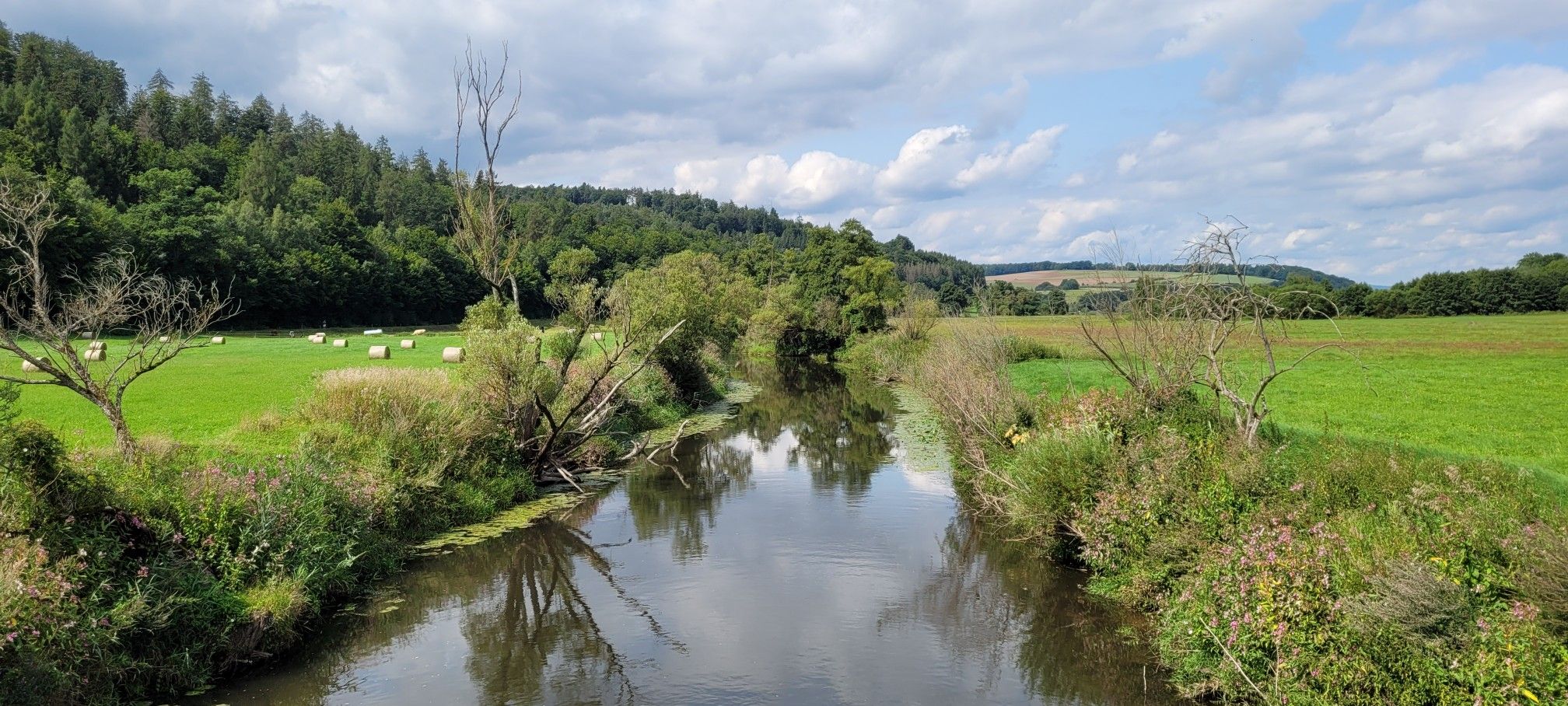 Die Fulda bei Pfordt
