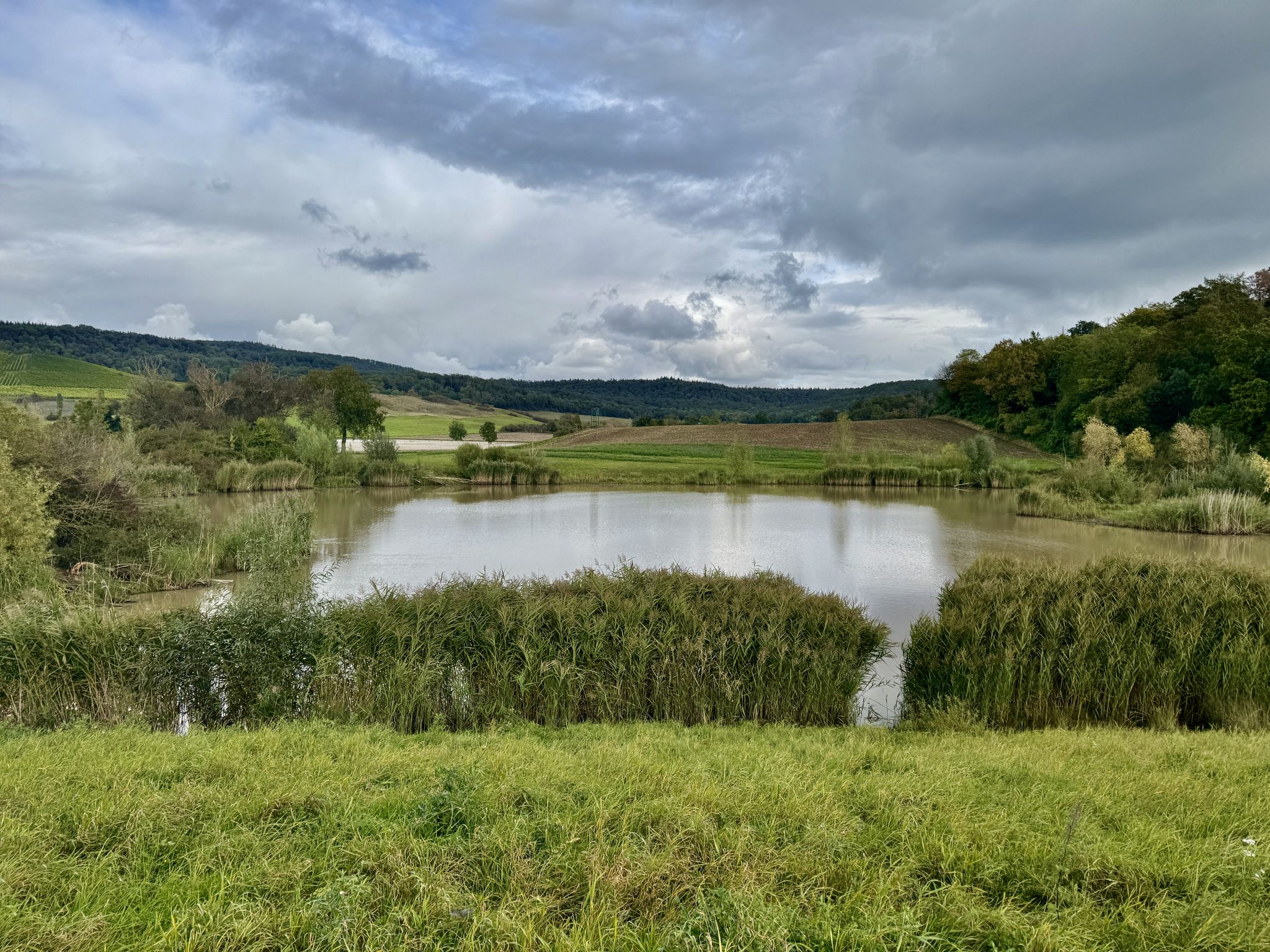 Romantischer See am Steigerwald