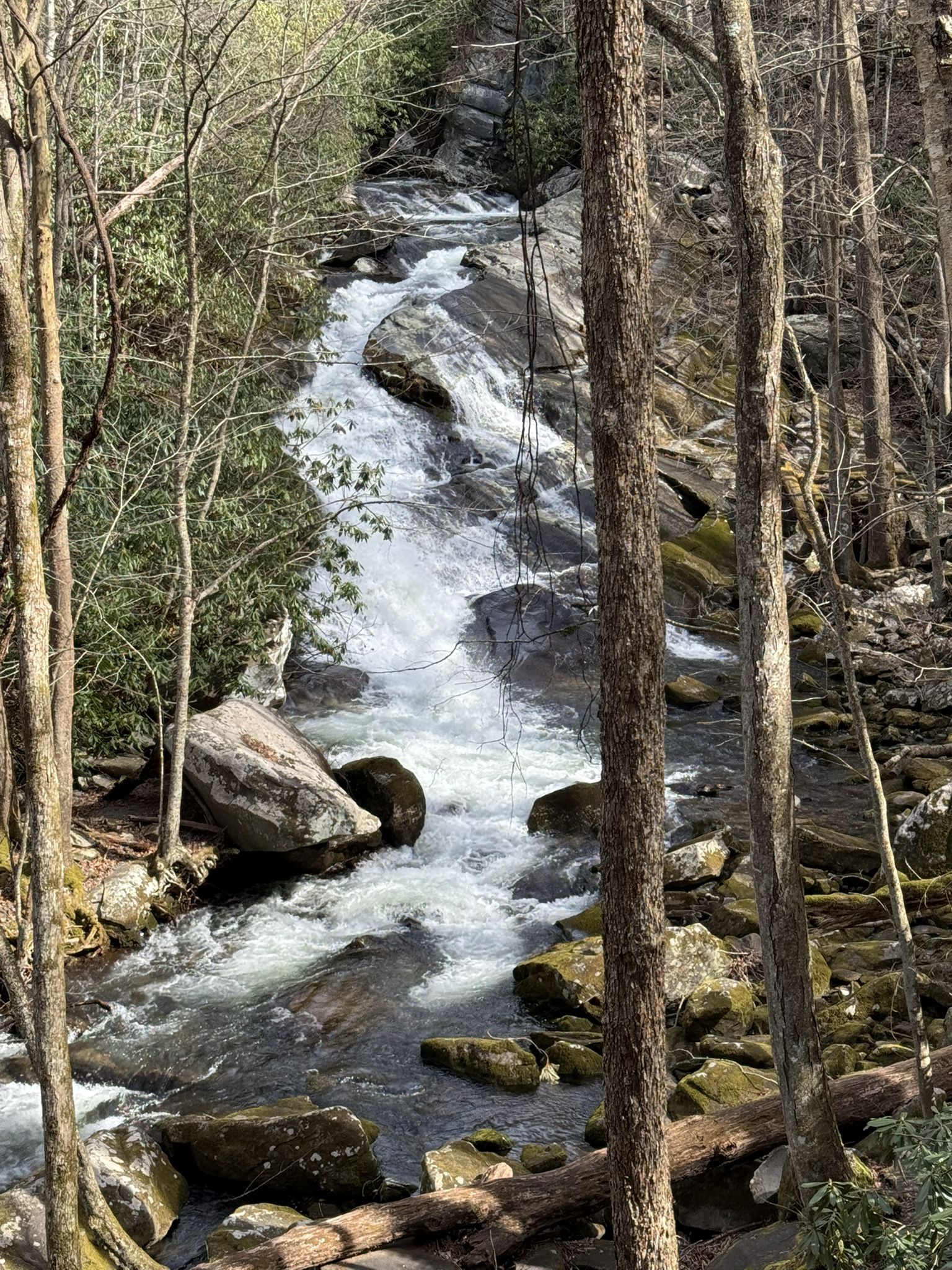 A rushing river with white water flows through a rocky, sunlit forest. - Middle Prong, Lynn Camp, Miry Ridge, and Panther Creek Loop