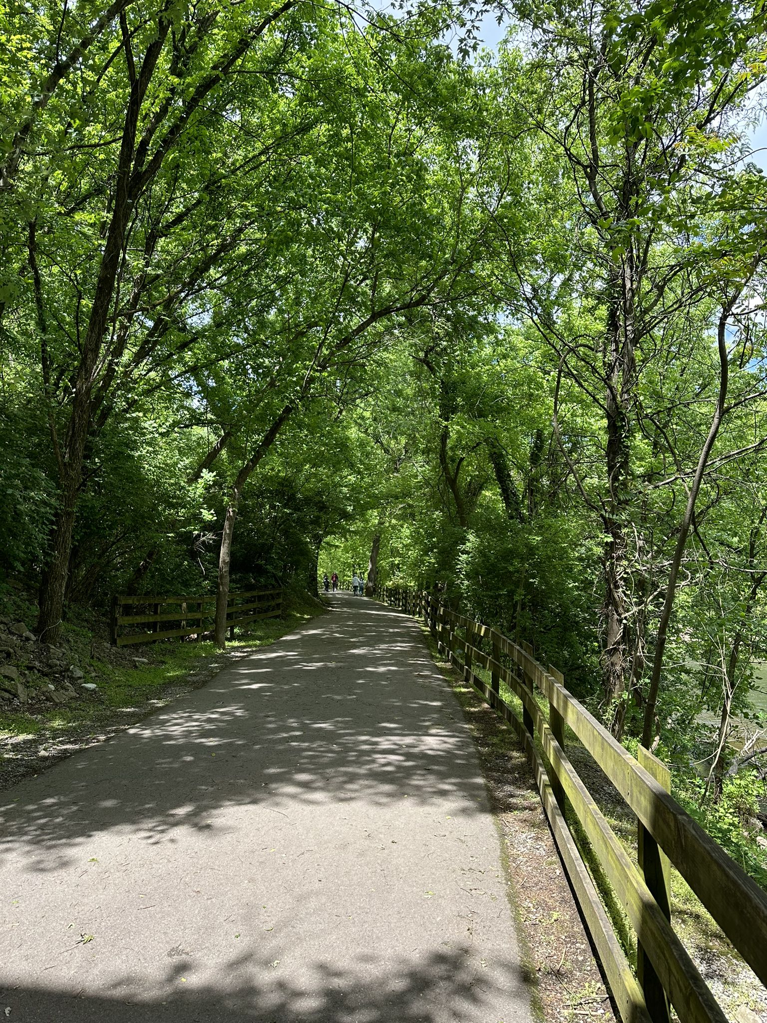 Sunny paved path through a lush green forest with a wooden fence. - Stones River Greenway
