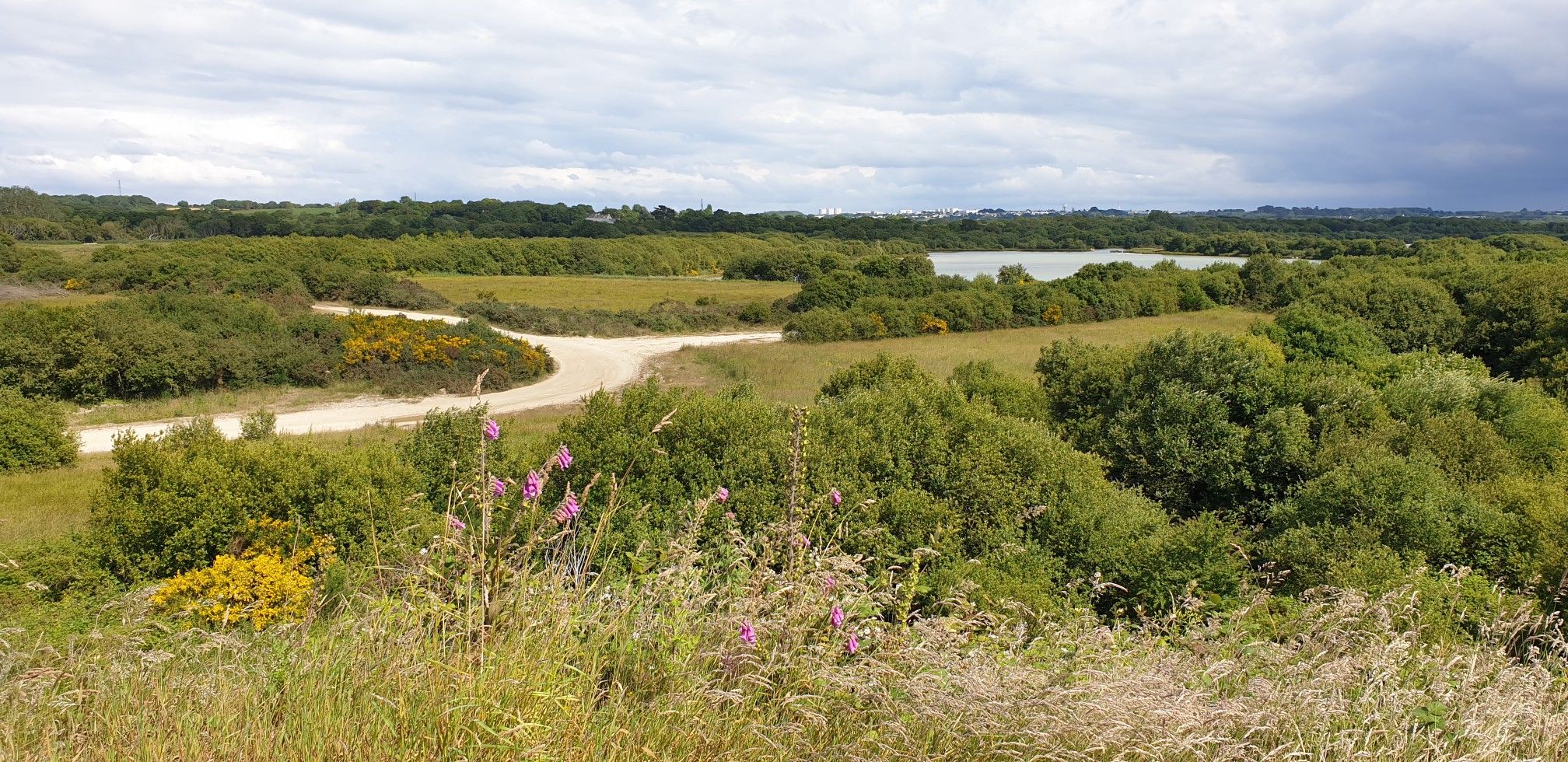 vu panoramique depuis le belvédère 