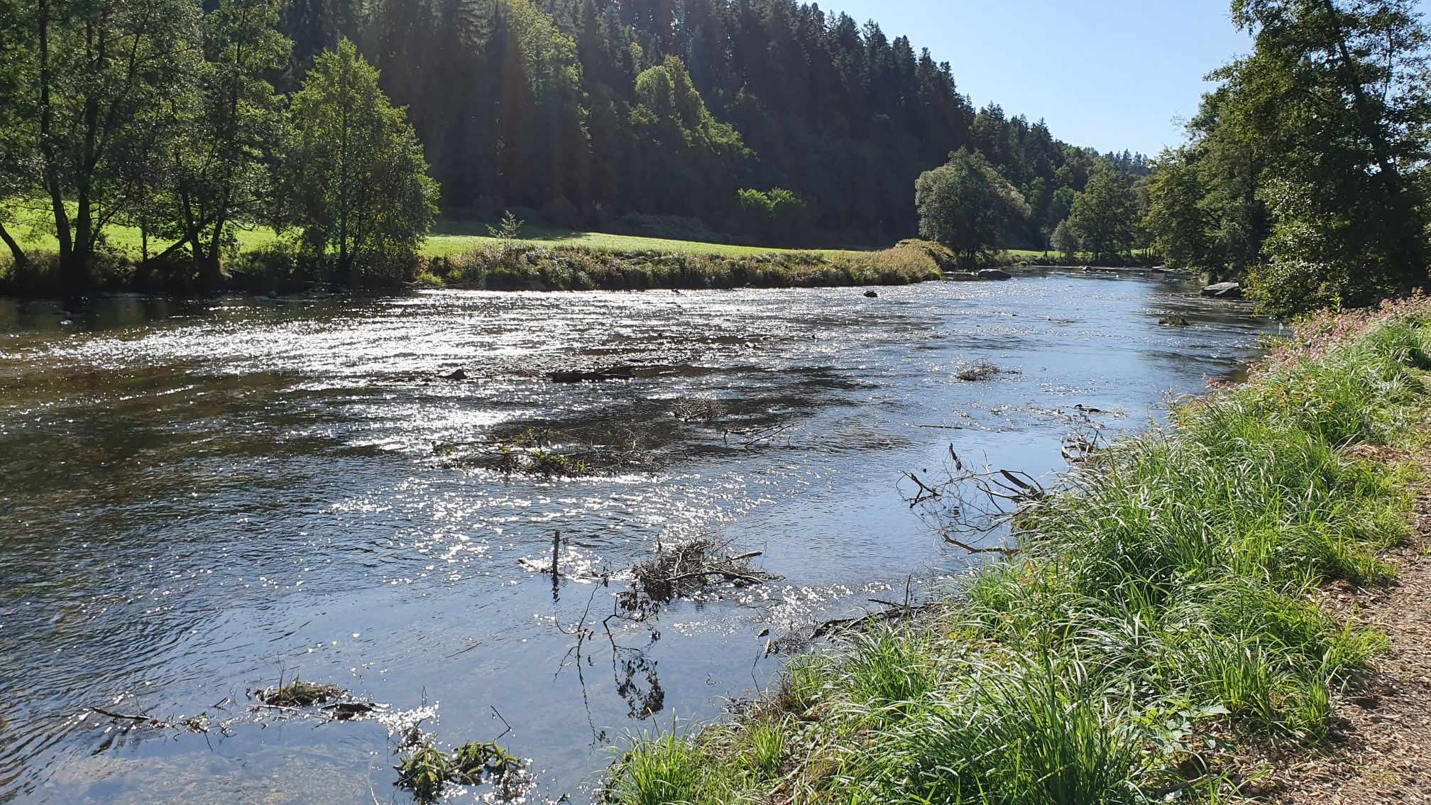 schöner sonniger Weg