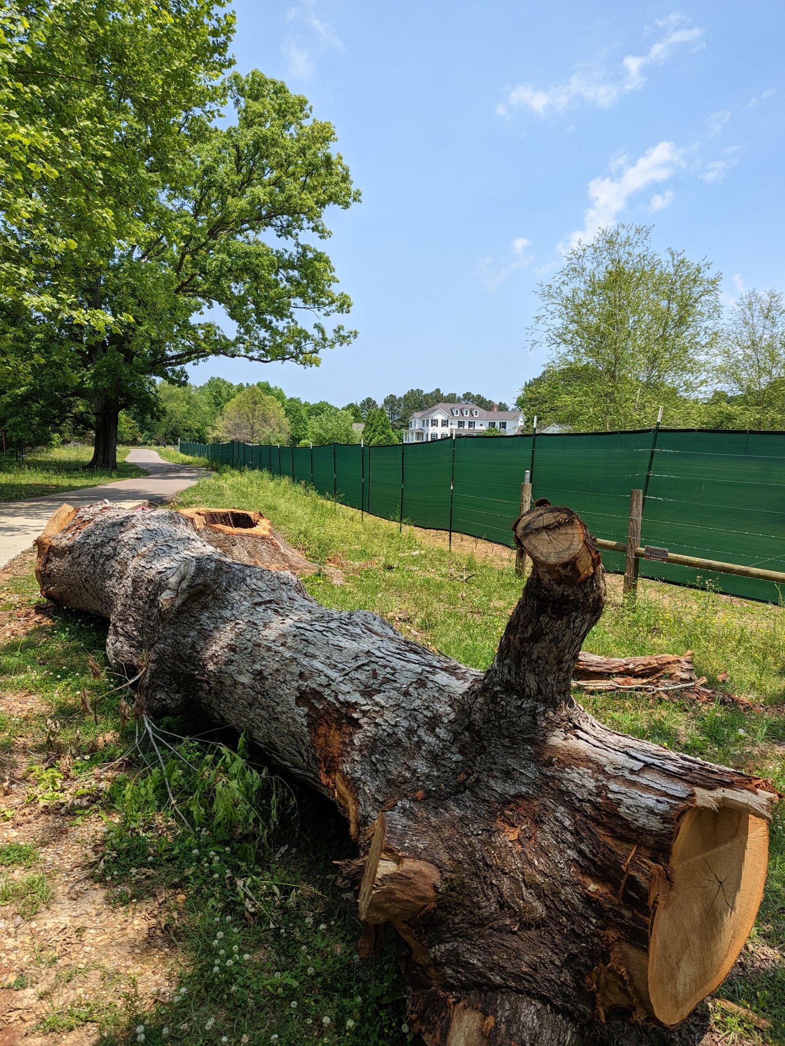 Fallen tree trunk next to a paved path and green fence, sunny. - Walden Pond loop from Lot 2