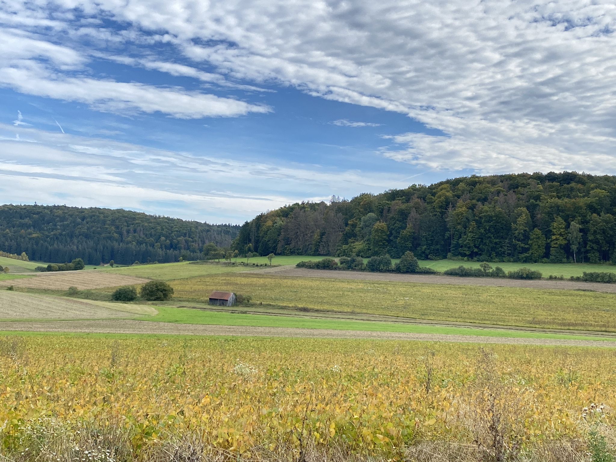 Panorama 
