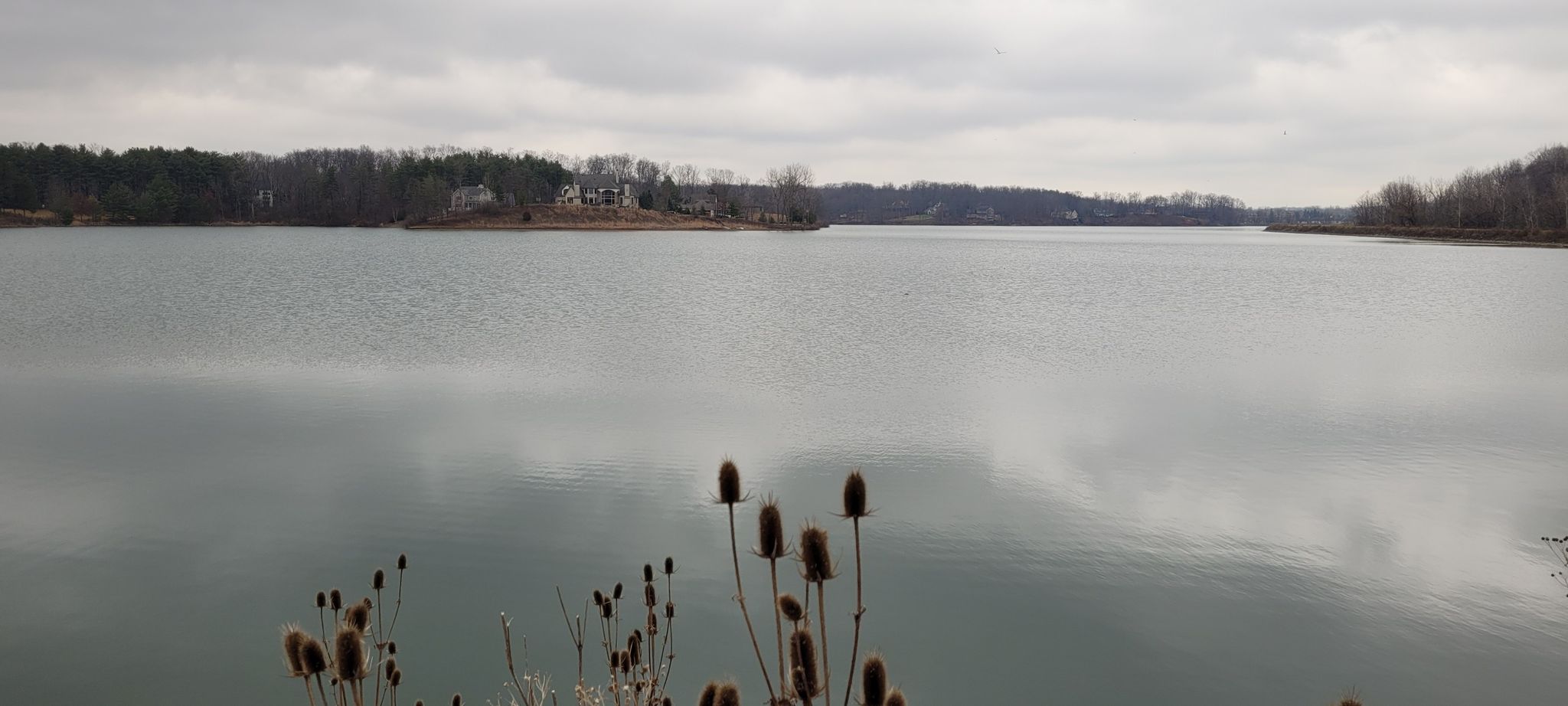 Overcast sky over a wide lake with distant trees and foreground plants. - Lake Medina loop from Yours Truly Restaurant