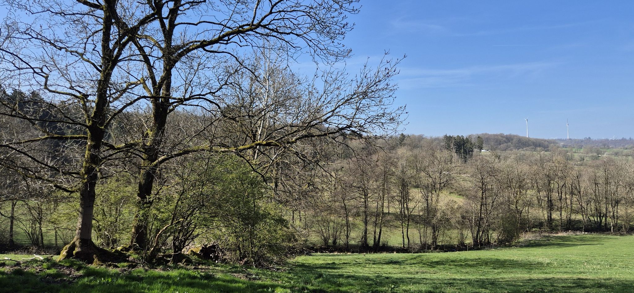 Höhepunkt am Ende der Wanderung ist der Schlossberg mit Burgruine und phantastischem Panoramablick.