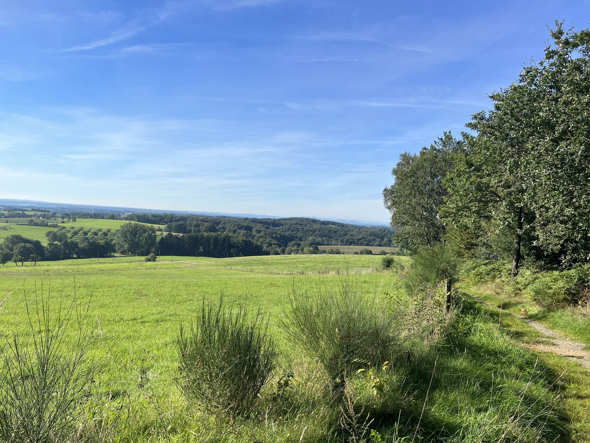 Oberes Naafbachtal
