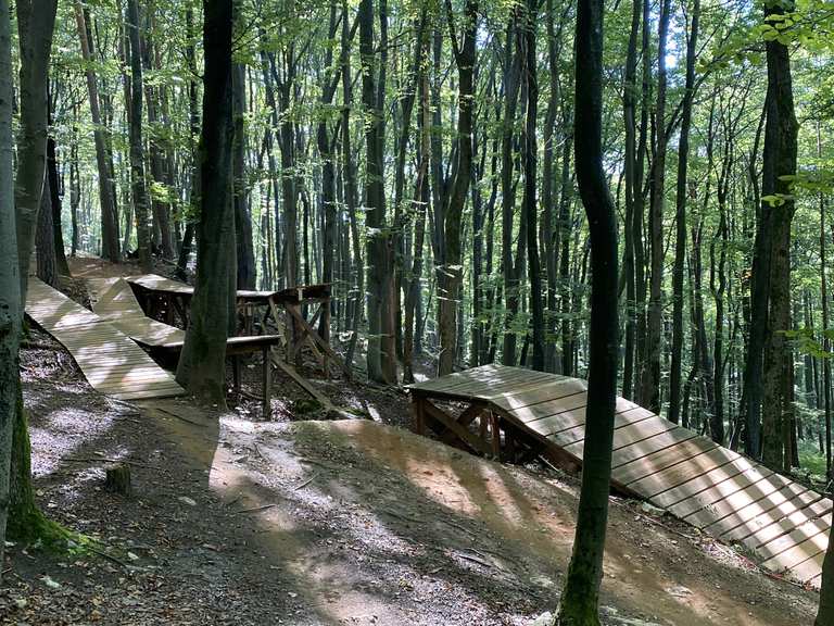 Bikepark Osternohe: Ein Endurist im Freeride-Paradies  | Mountainbike-Tour  | Komoot