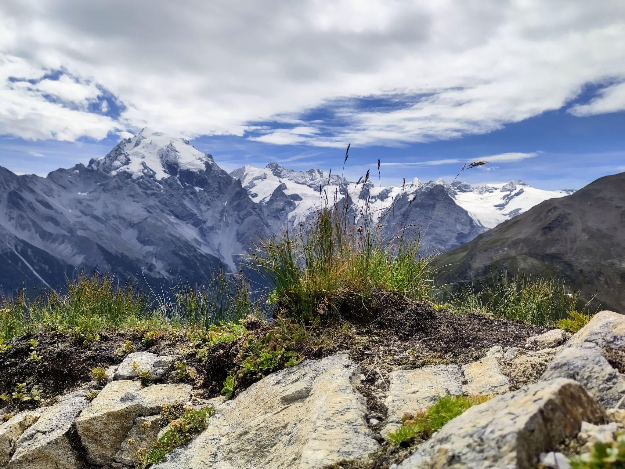 Blick auf den Ortler