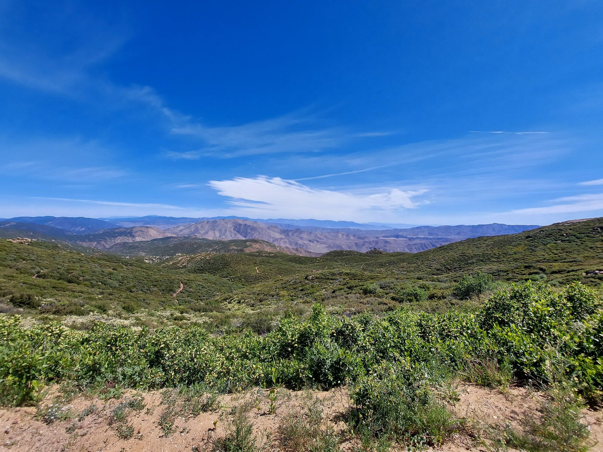 Expansive view of rolling green and brown mountains under a vast blue sky. - Sunrise National Scenic Byway