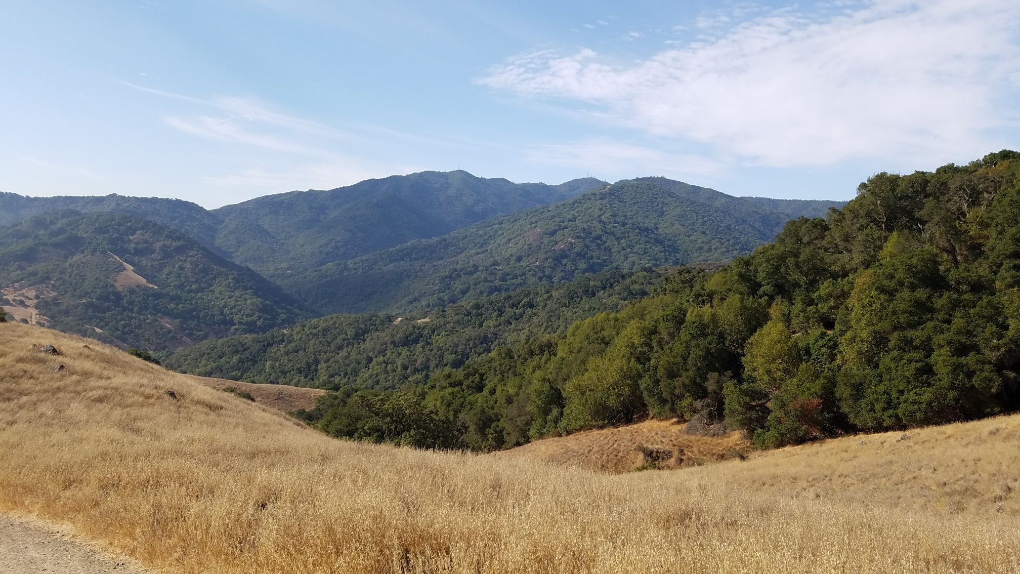 Rolling hills with dry grass and distant forested mountains under a cloudy sky. - Castillero Trail – Woods Trail Trailhead loop from Almaden Quicksilver County Park