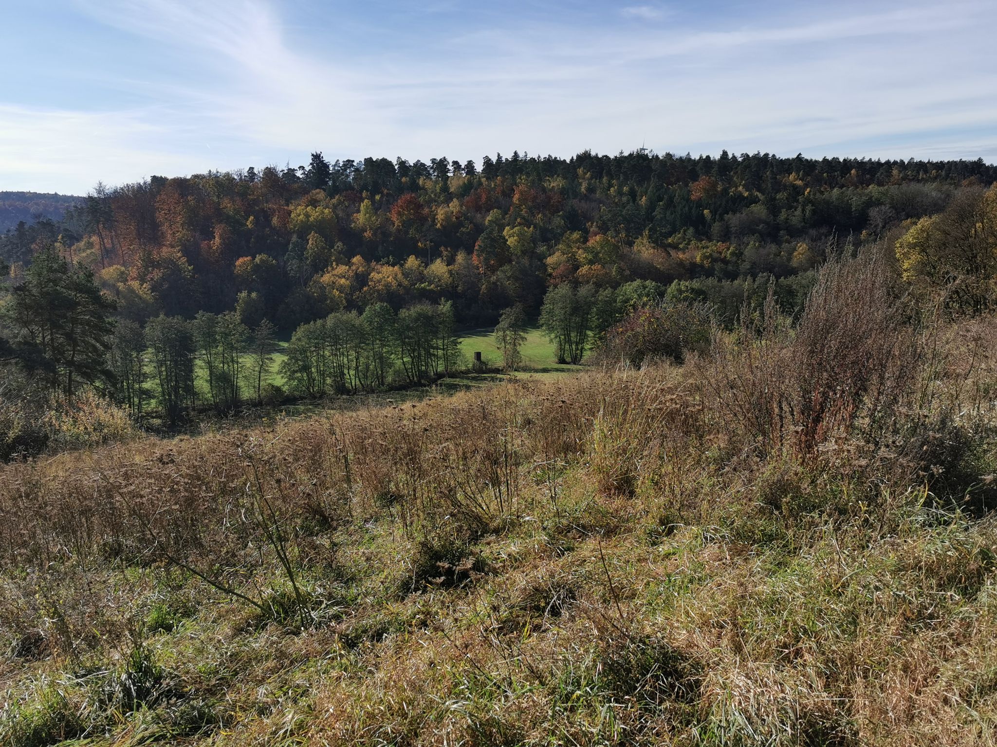 Blick in den Talgrund, wo der Onolzbach friedlich dahinfließt.