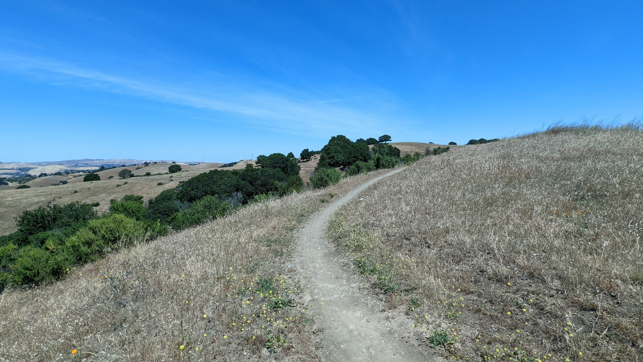 A dirt path winds through dry golden hills under a clear blue sky. - Crockett Hills Bay Area Ridge Trail Loop