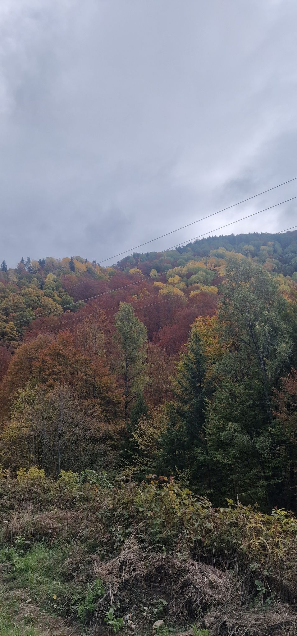 Красота 1