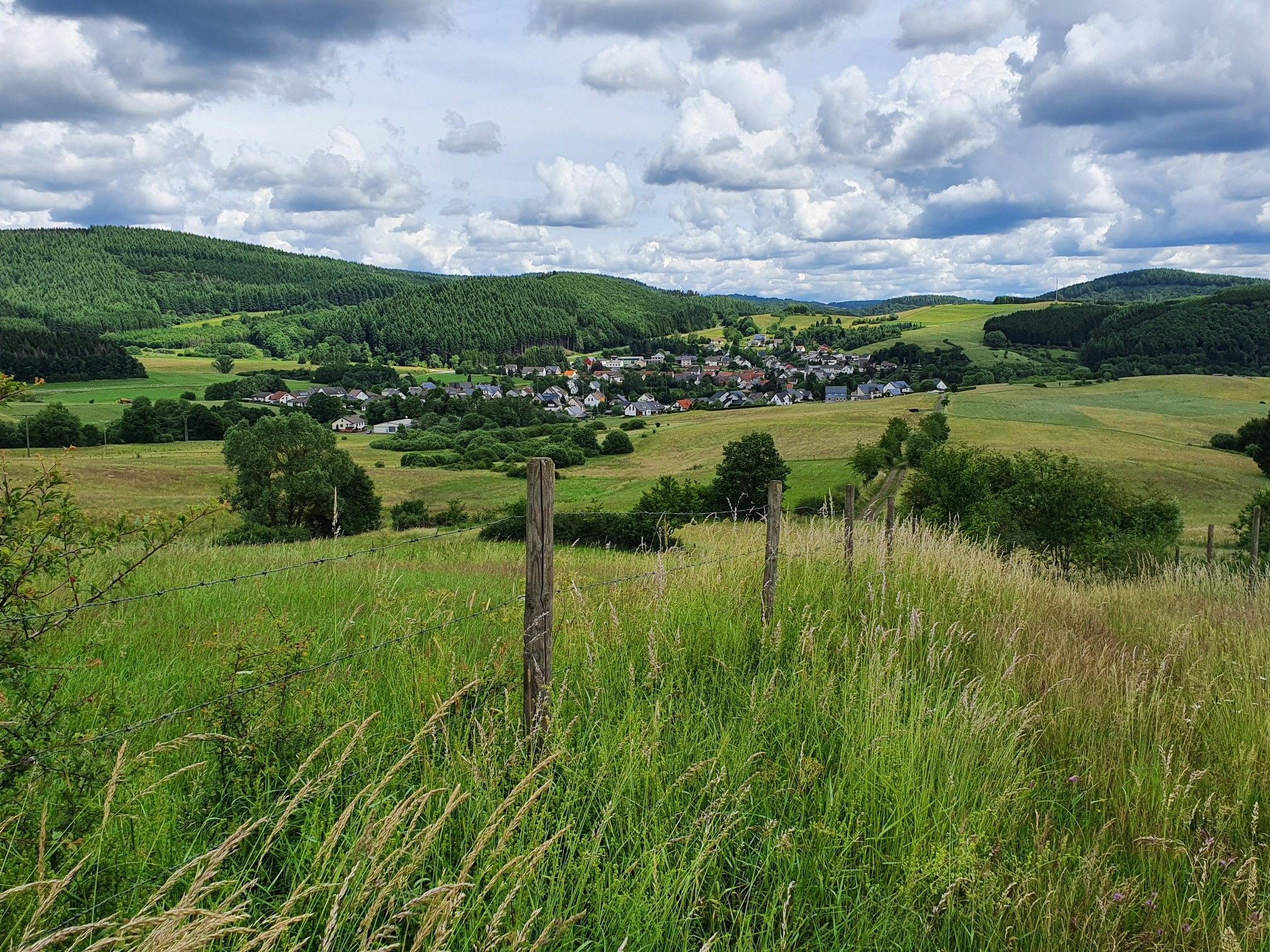 Blick auf Wallenborn