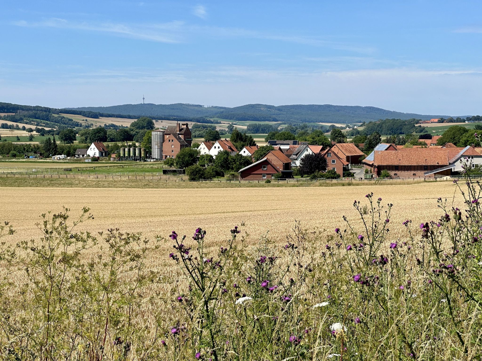 Blick ins Innerstetal